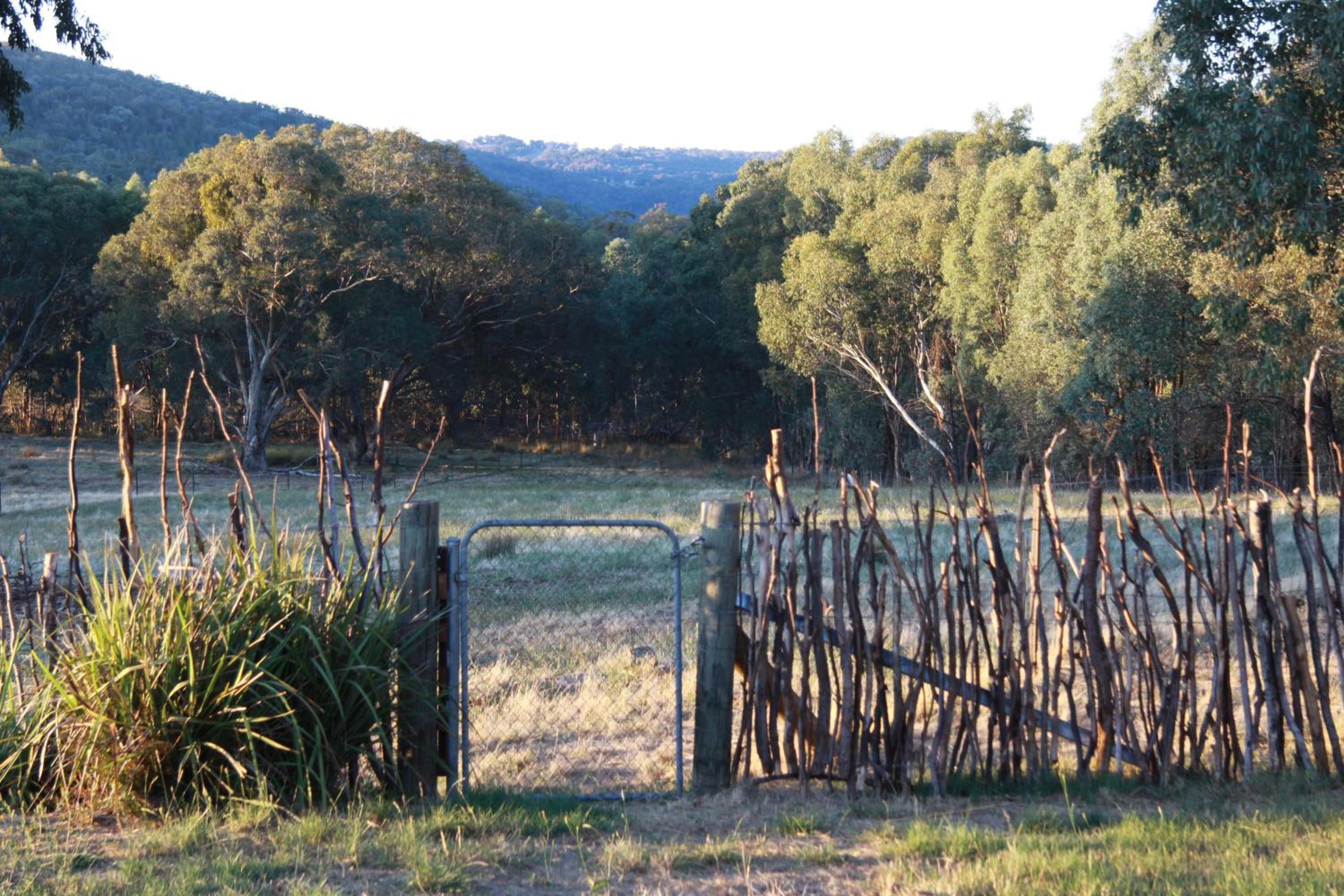 Candlebark Retreat