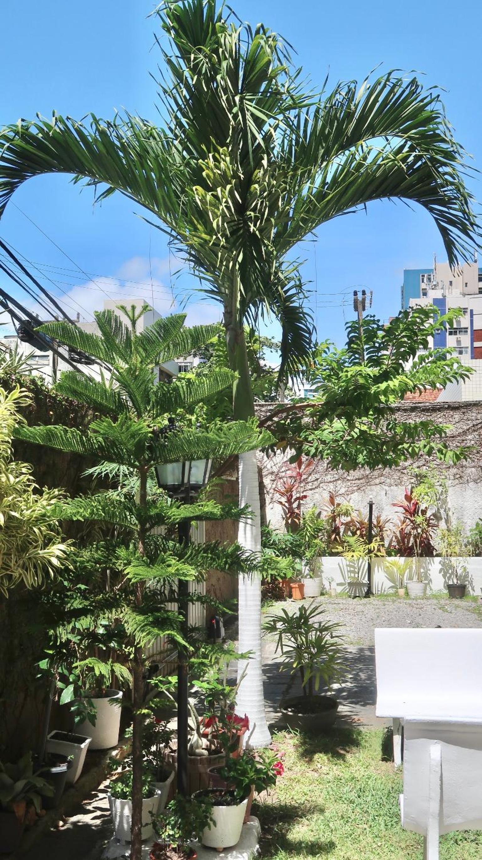 Beach Apartment, Rua Navegantes - Boa Viagem