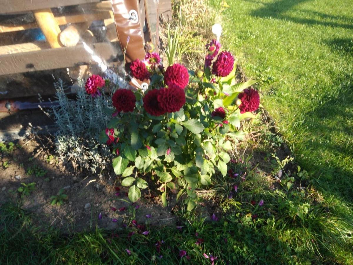 U Florkow view 2