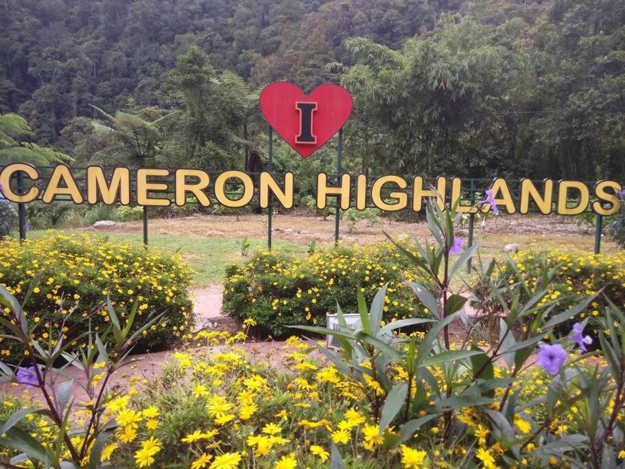 Cameron Hill Homestay
