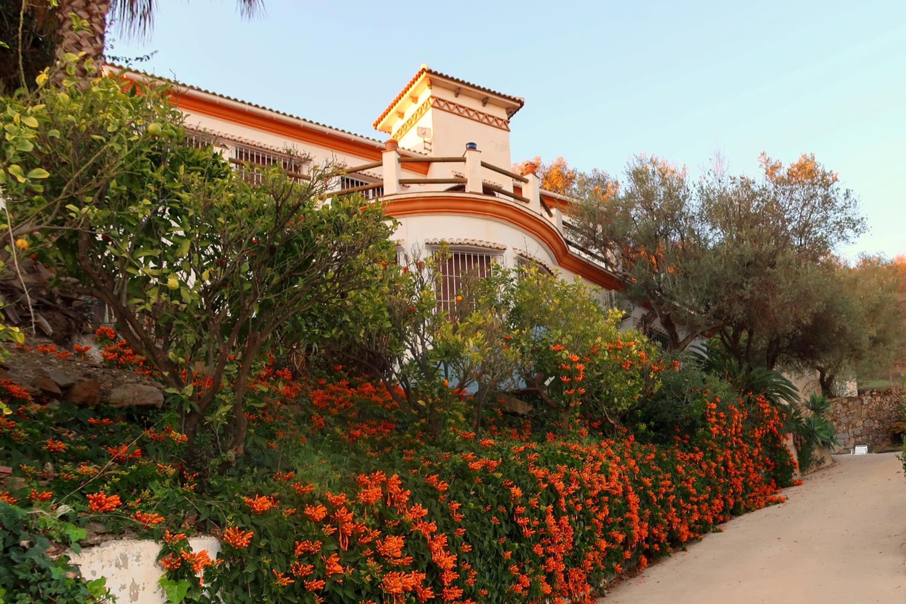Villa Los Naranjos