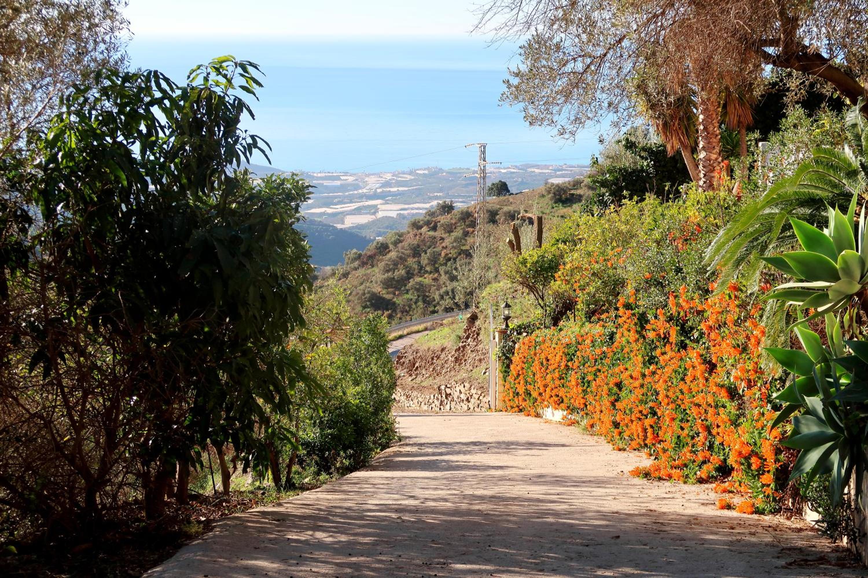 Villa Los Naranjos