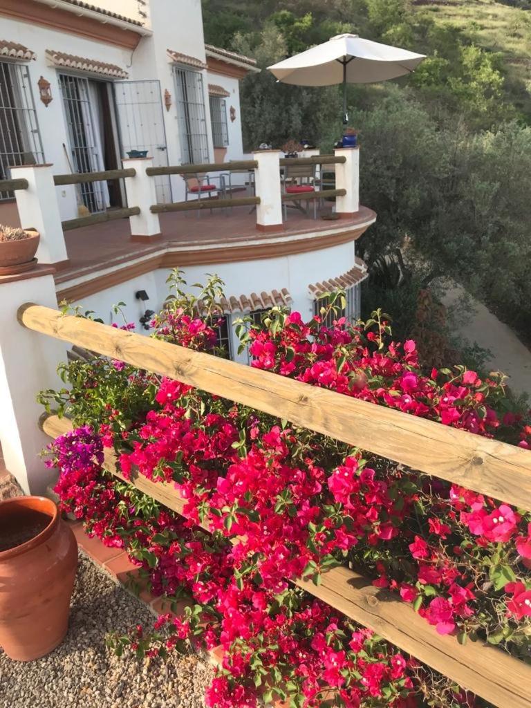 Villa Los Naranjos