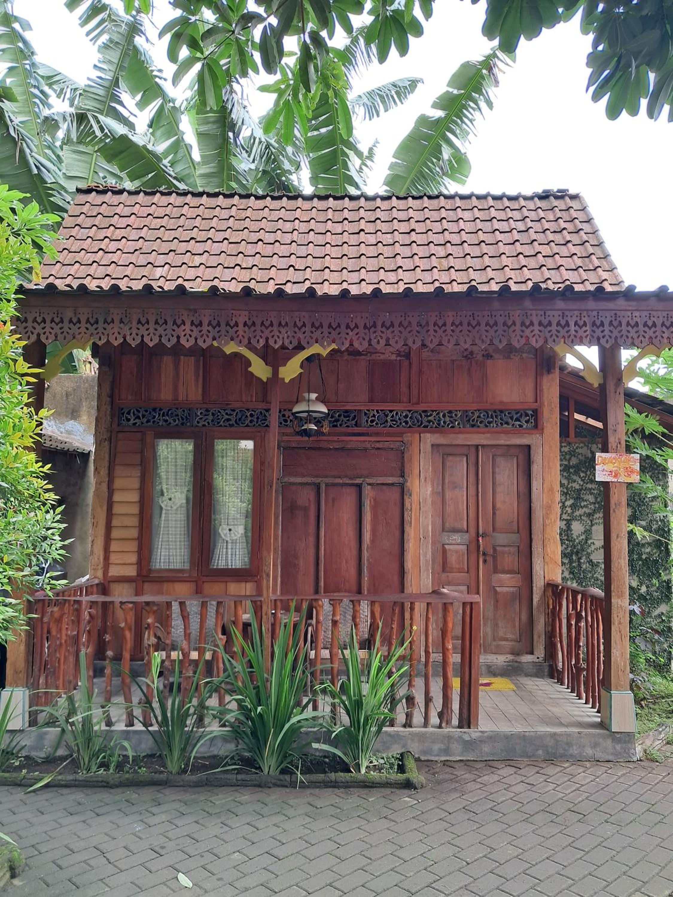 Photo 45