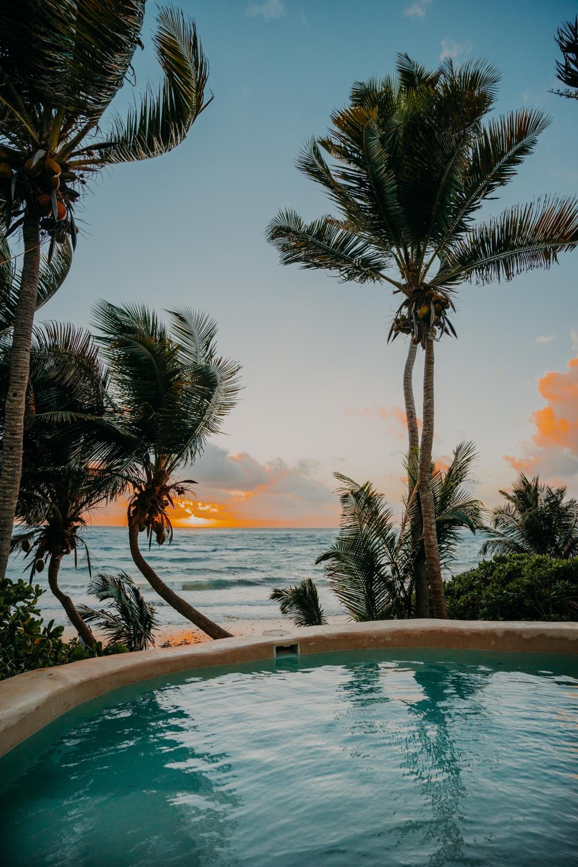 Papaya Playa Project 5