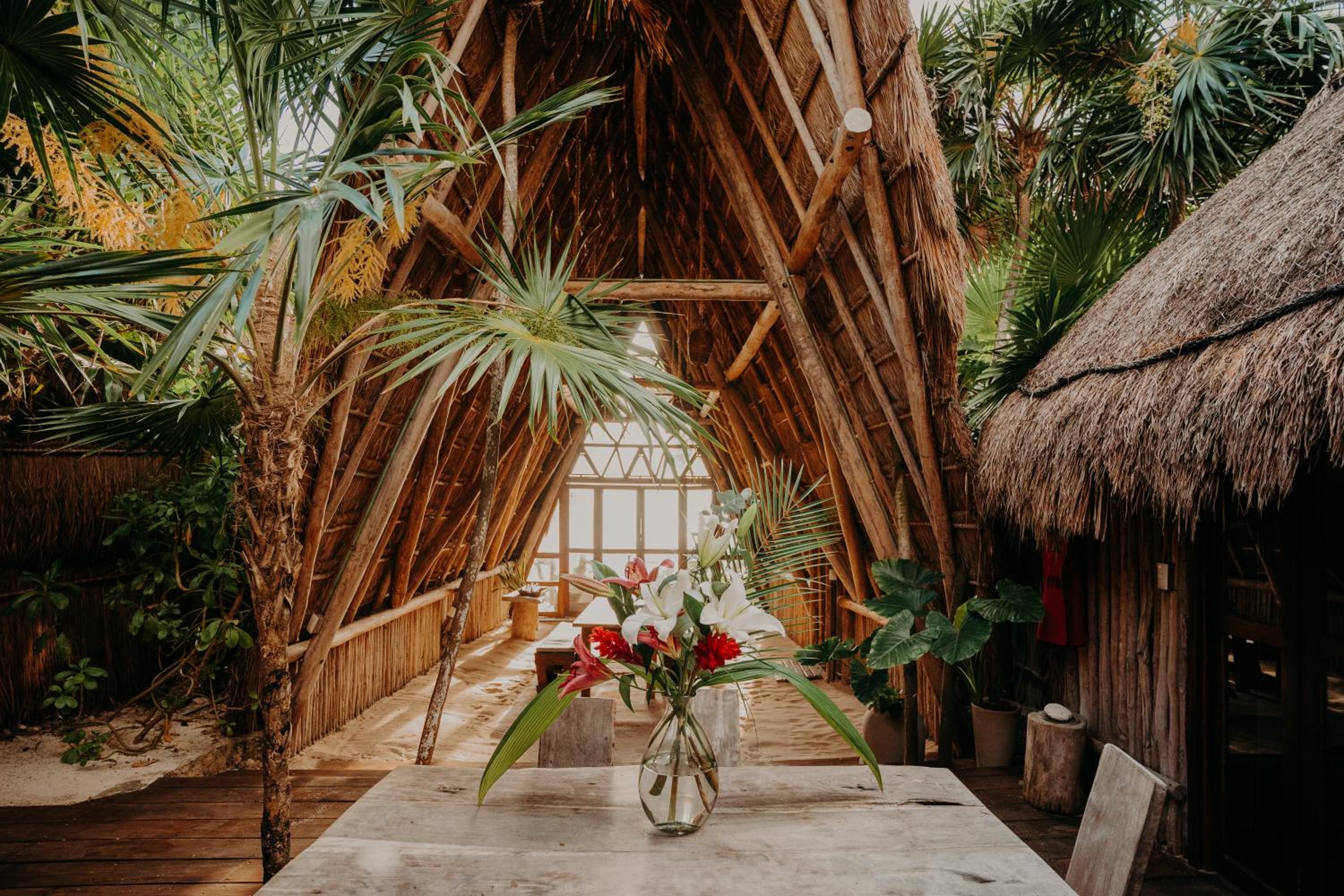 Papaya Playa Project 8