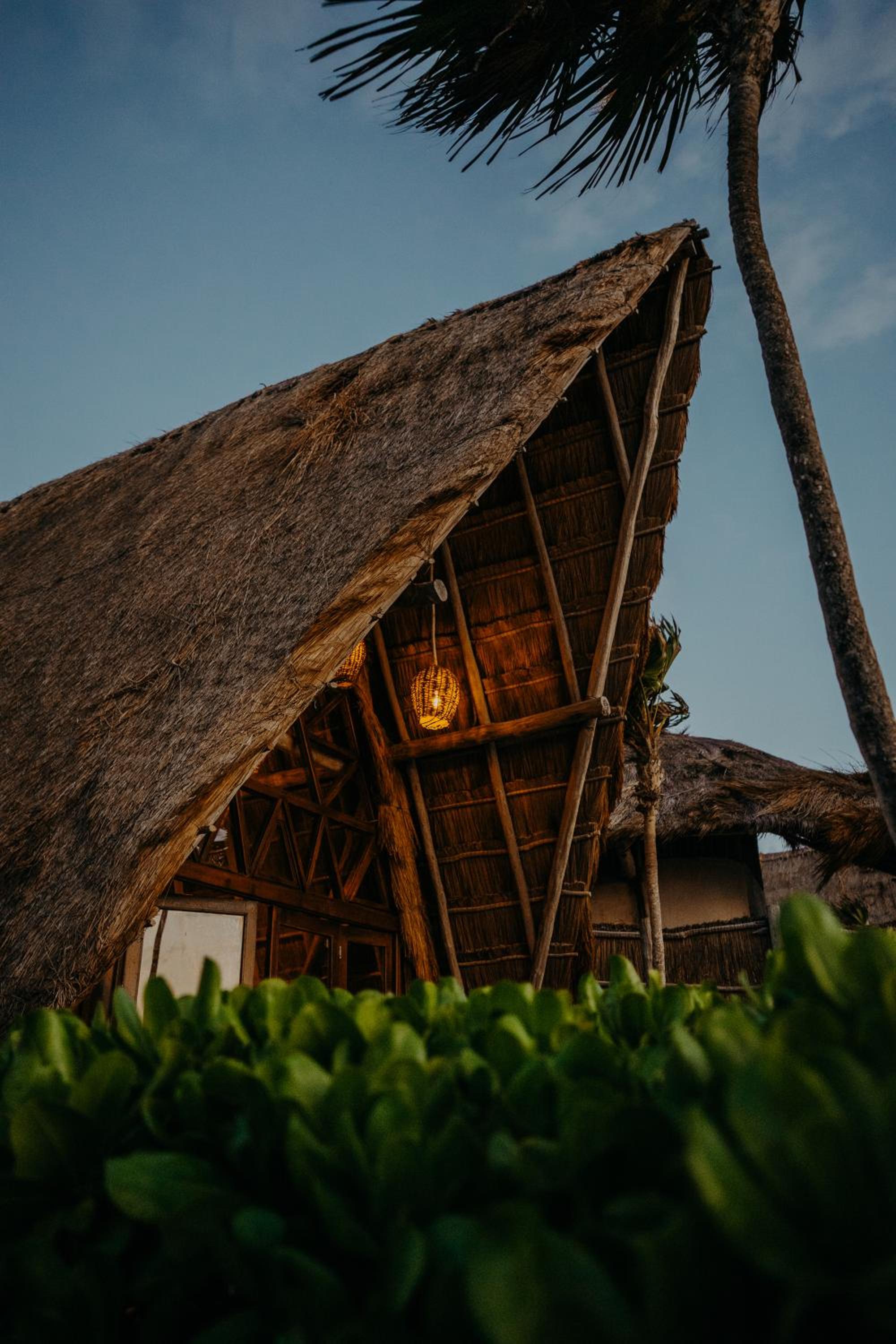 Papaya Playa Project 10