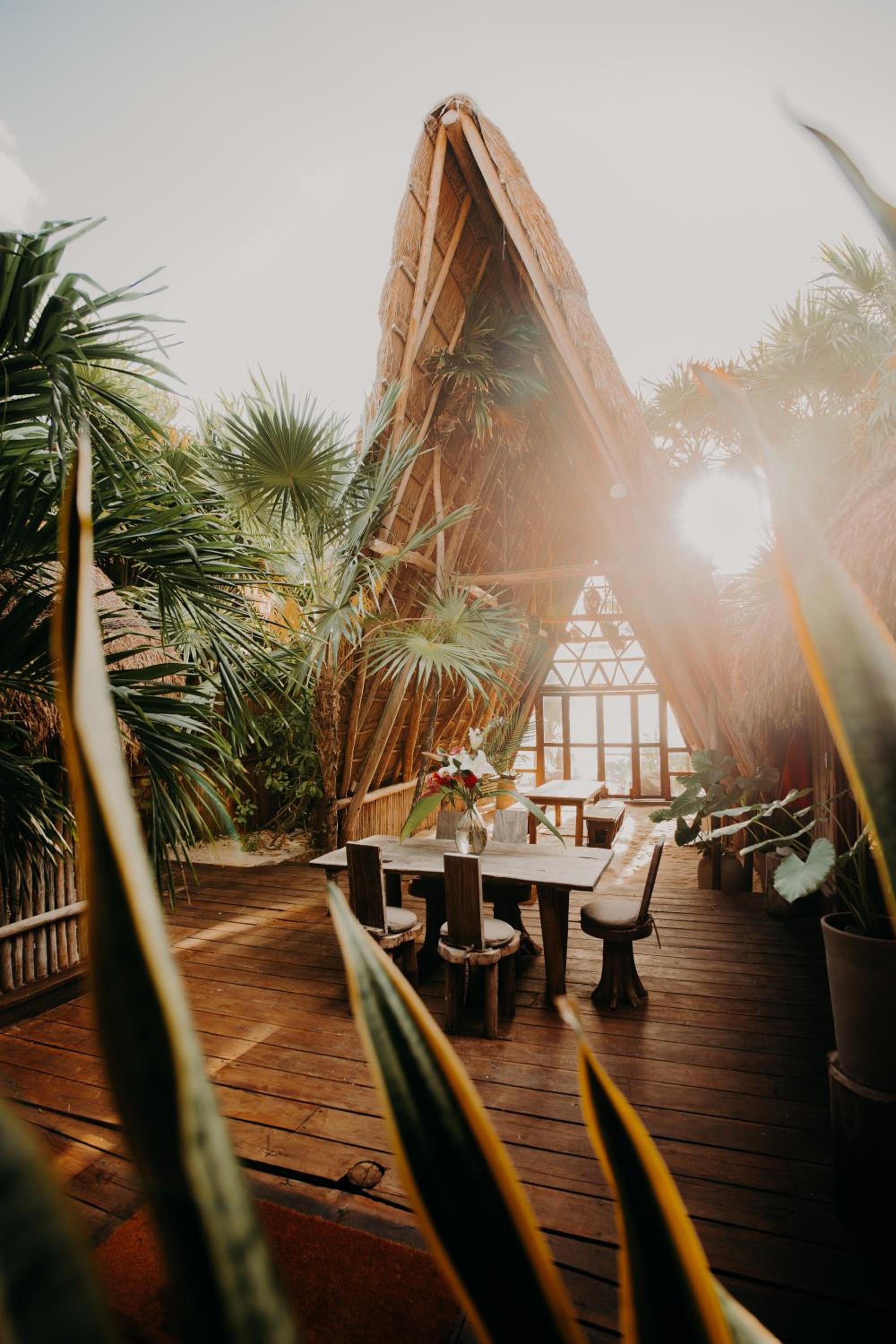 Papaya Playa Project 12