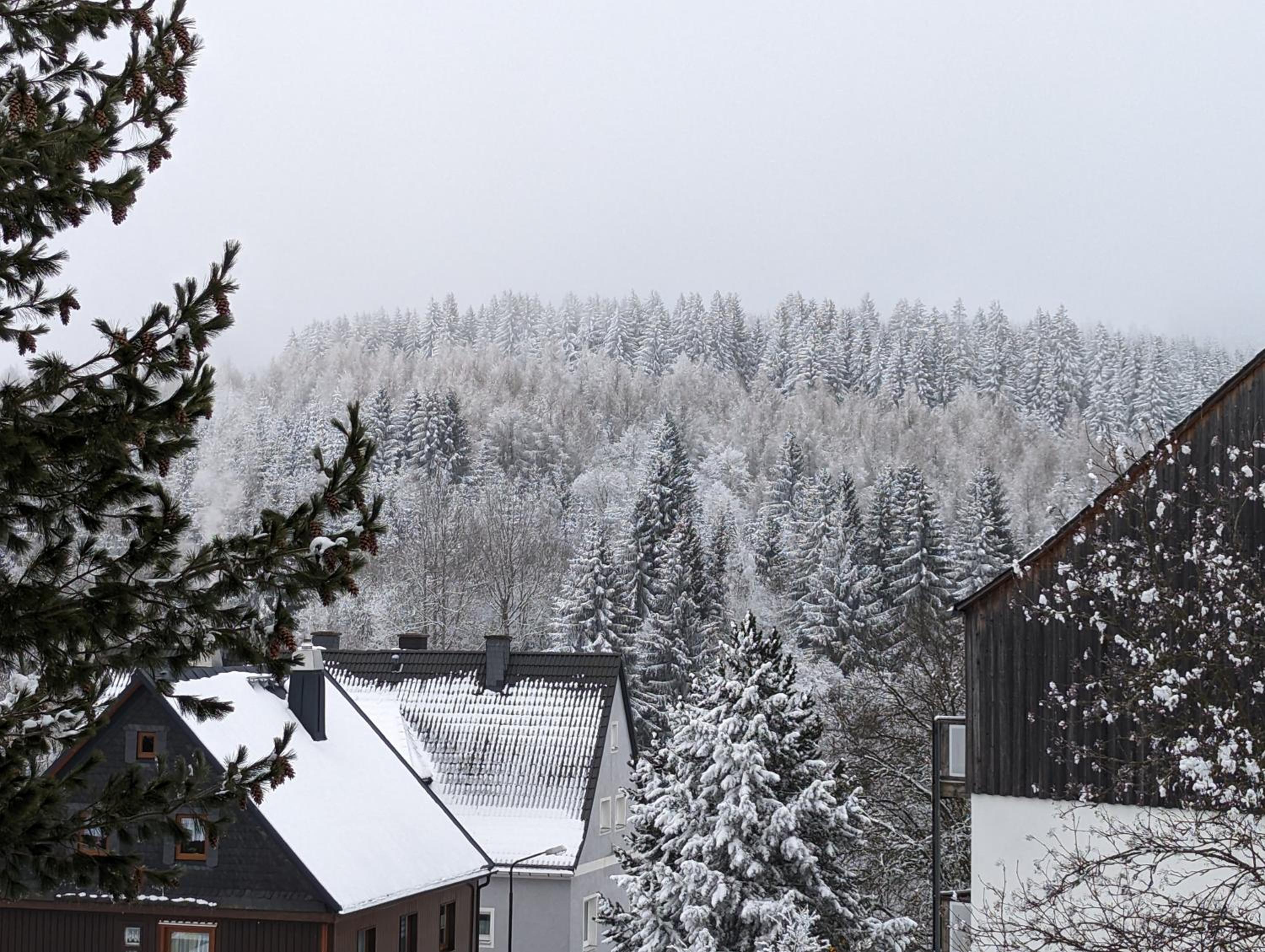 Ferienwohnungen Zauberberg, Schneehase Glitzerhirsch - Property Image 17
