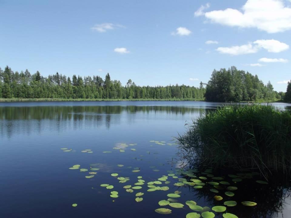 Lamminmäen Juhla ja Peti