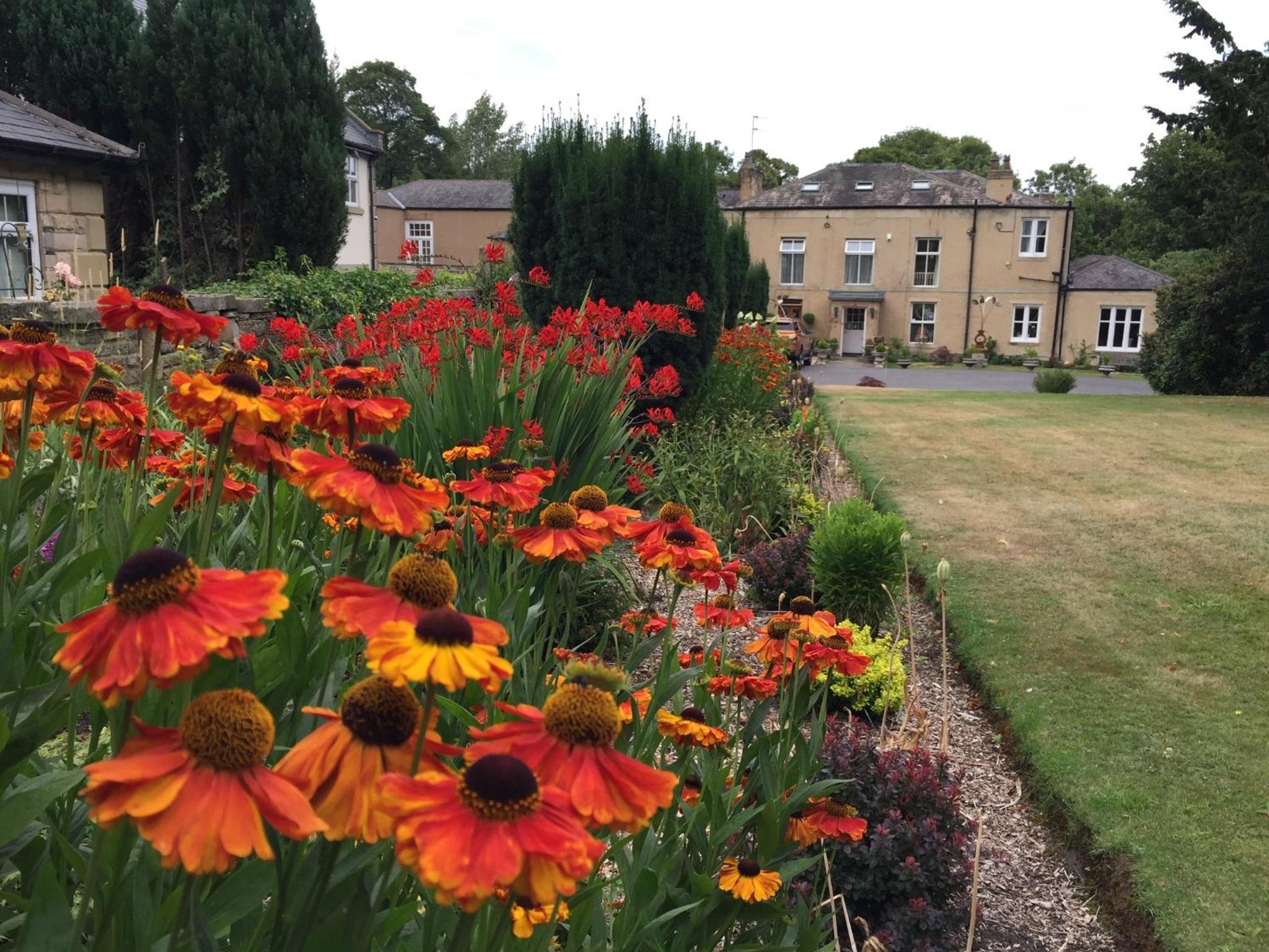 Hedgefield House view 2