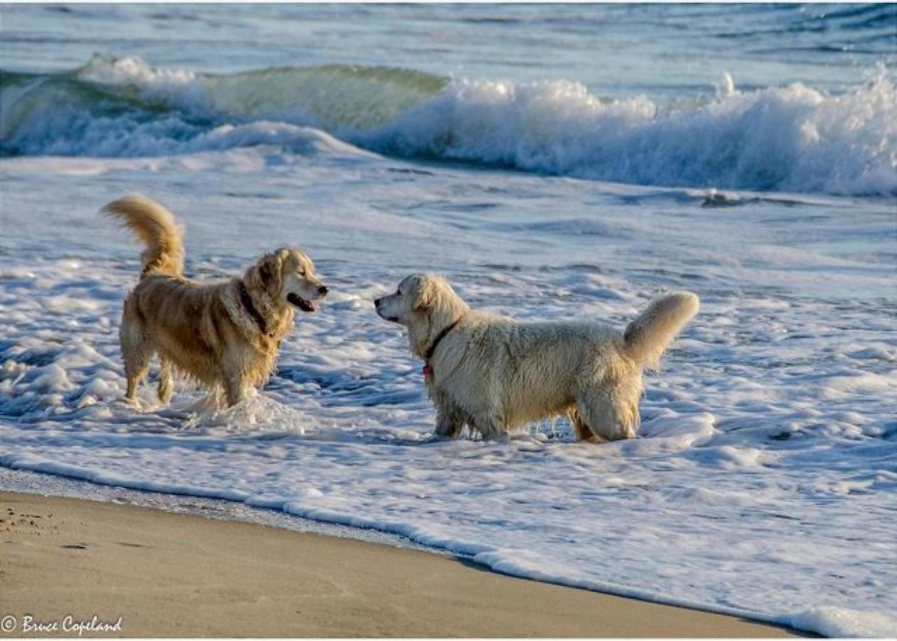 other