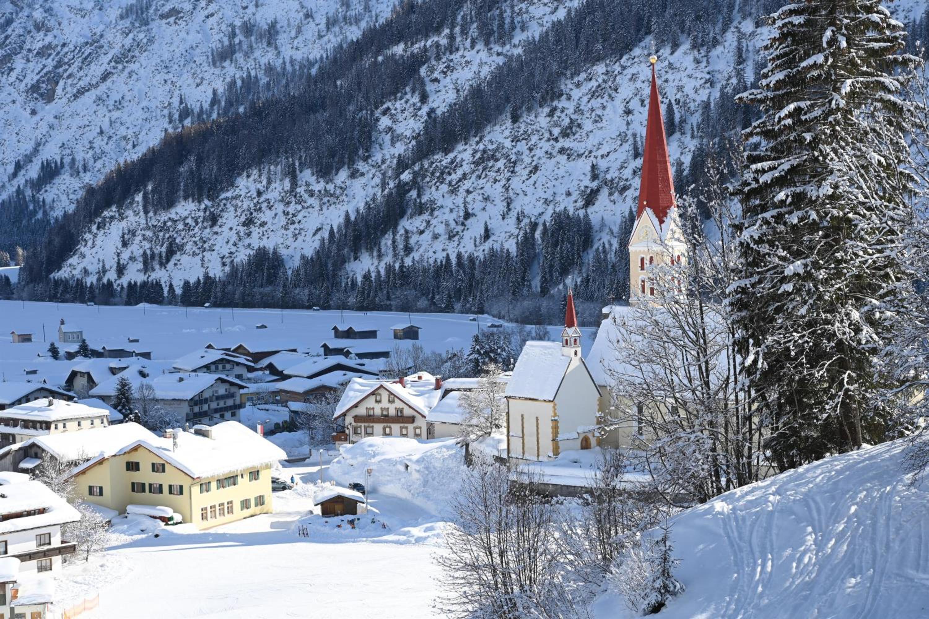 Die Holzgauerin