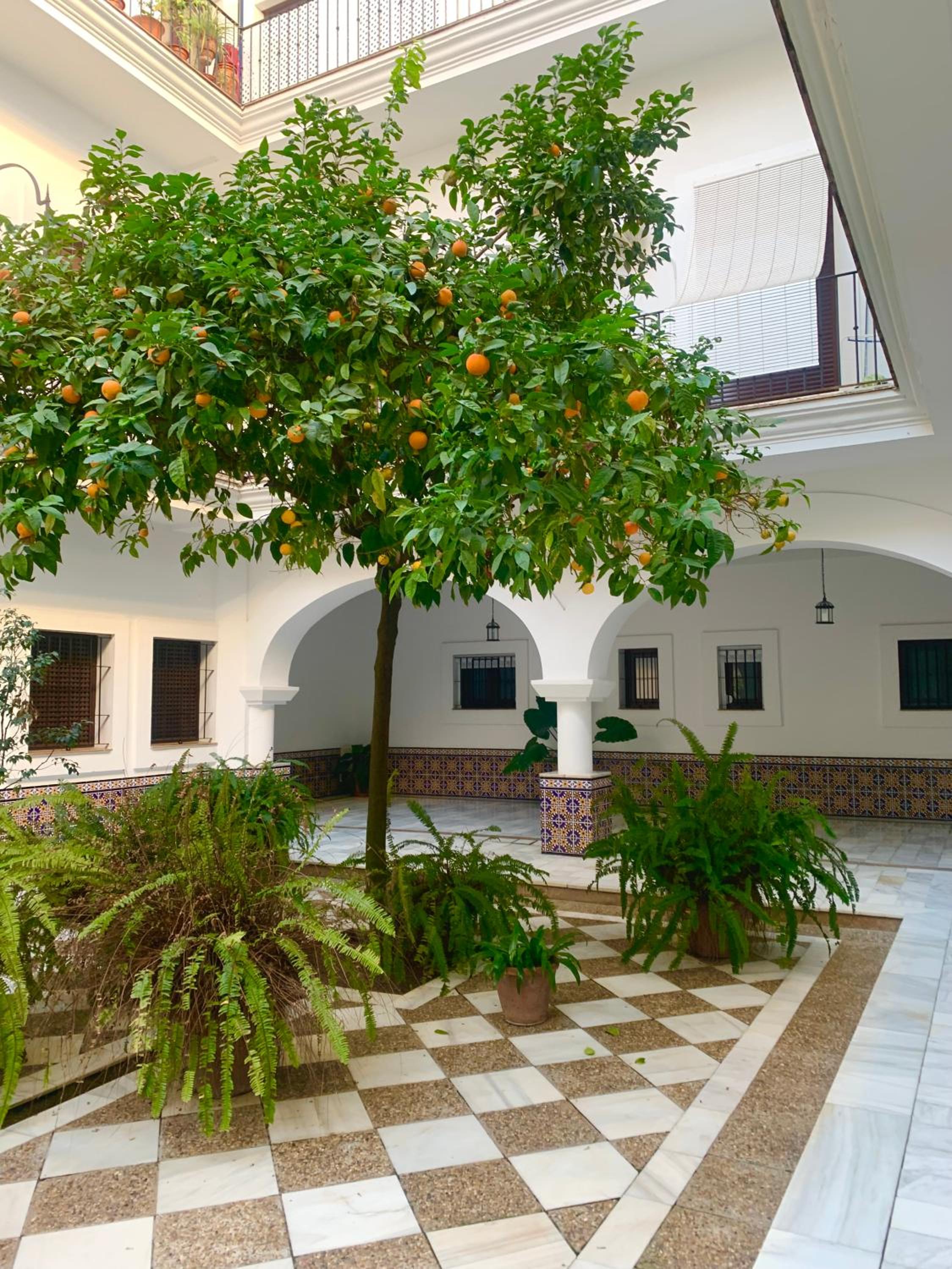 Gosol Lemon, Centro-Parking