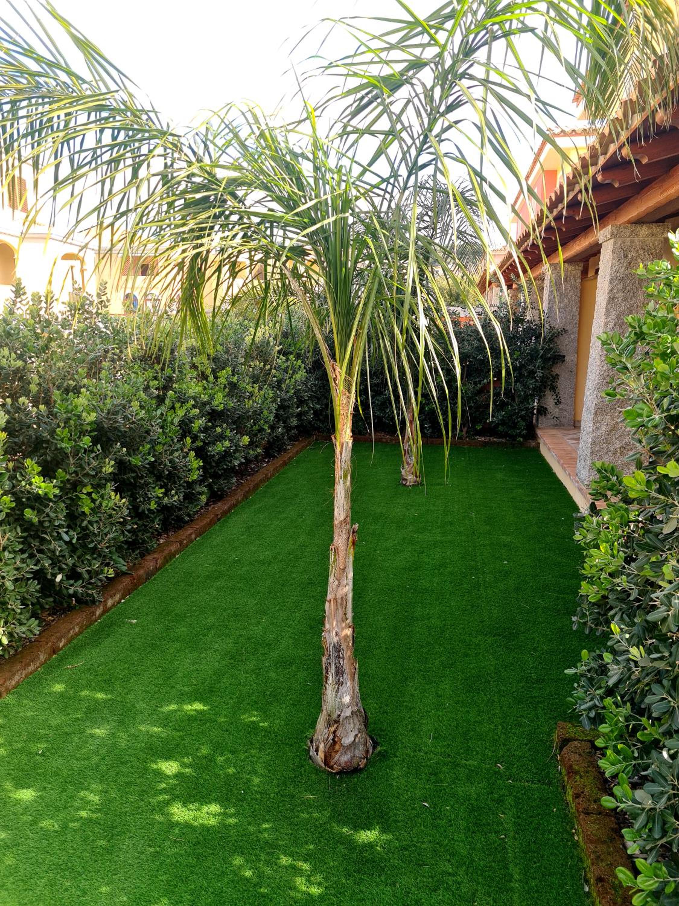 Giolet's House view 3