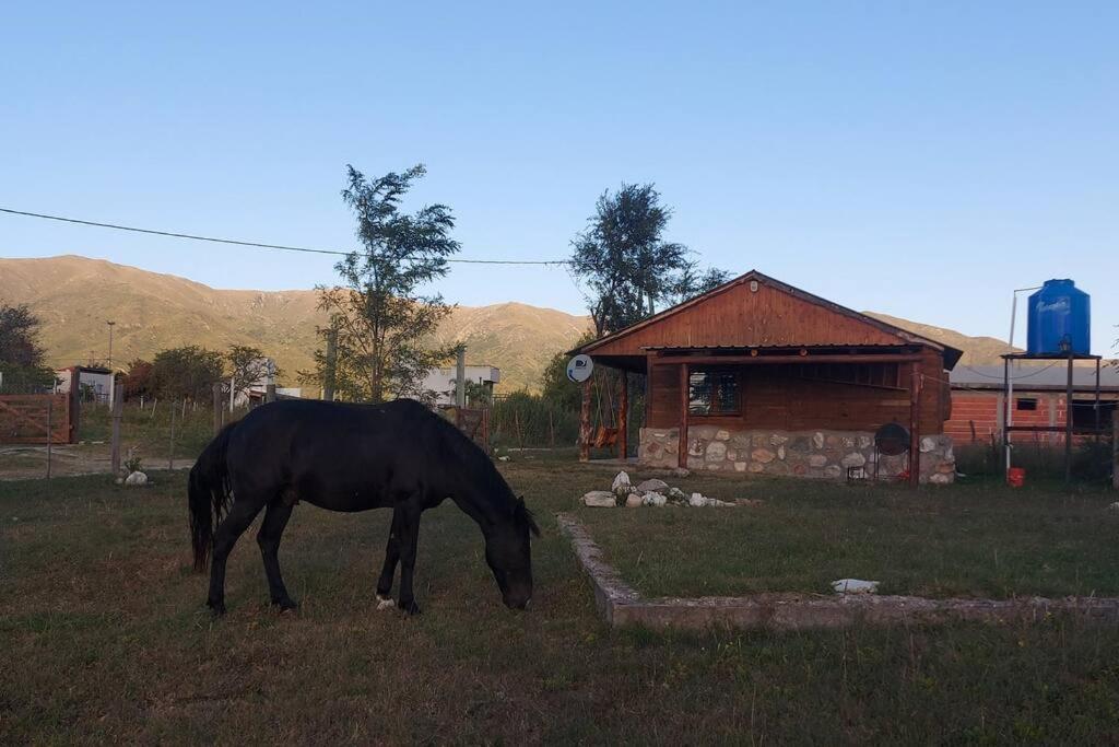 CABAÑA AKAPANA