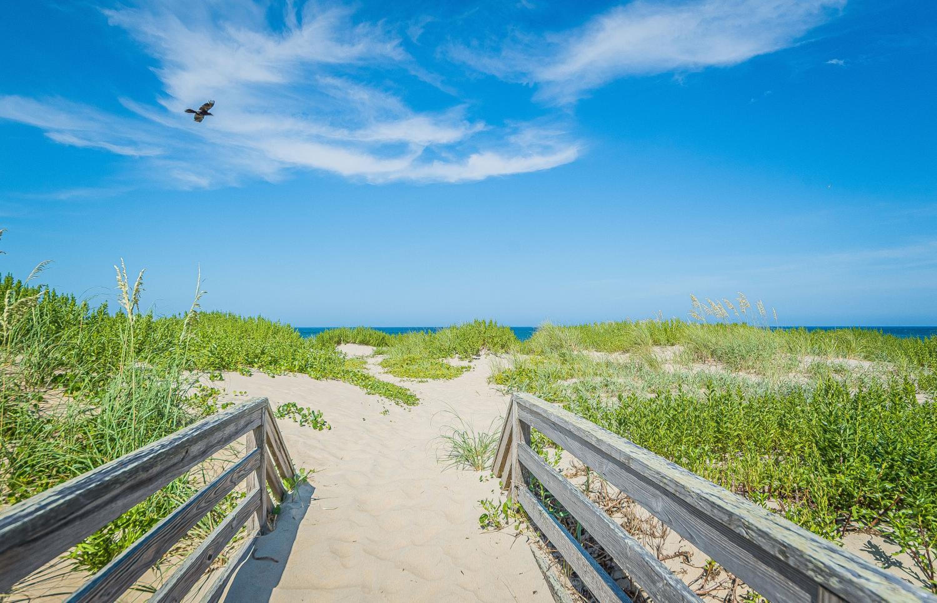 Savannah - Nags Head MP 16, Oceanfront, Direct Beach Access, Pool, Hot Tub, Pool Table