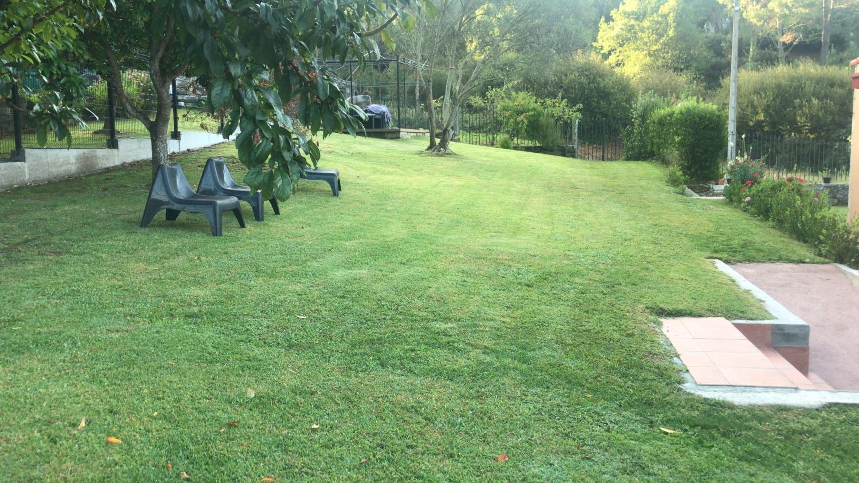 Photo 36
