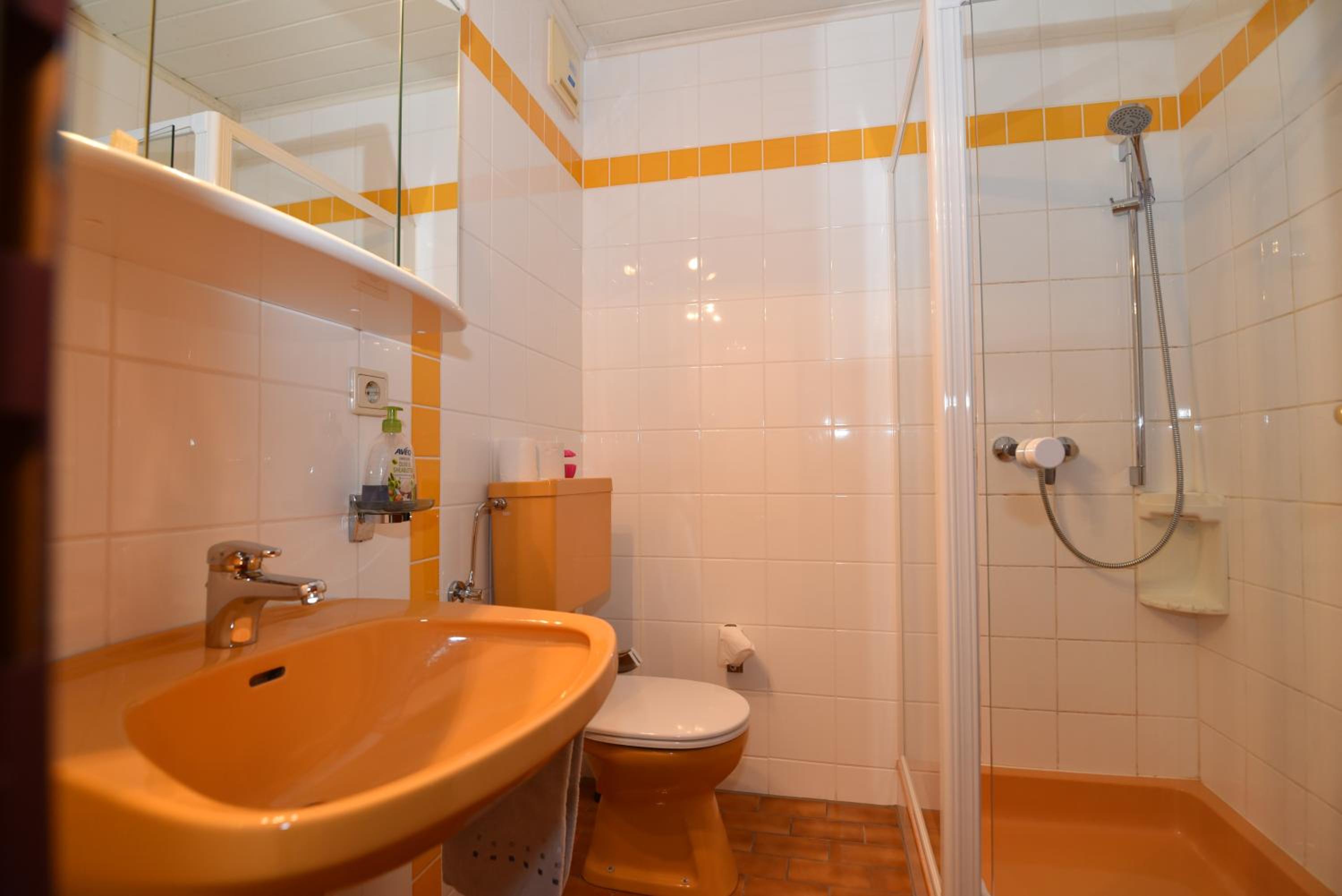 PM-APART Ries Rosina