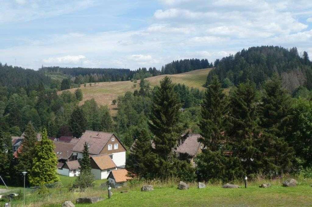 MountainLodge