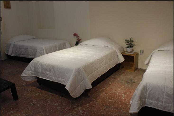Hostalgia Casa Zul