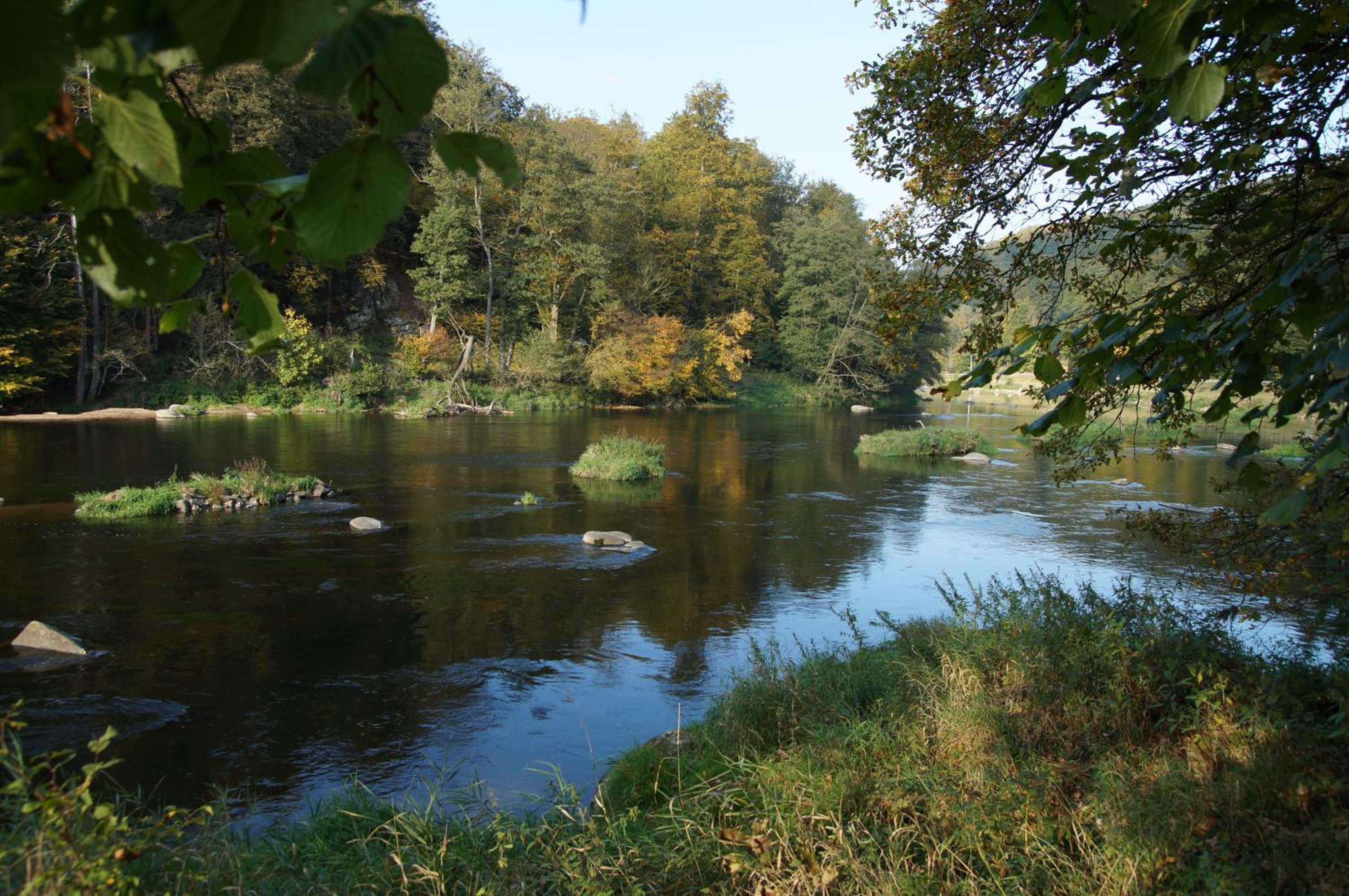 Gasthof Metzgerwirt view 2