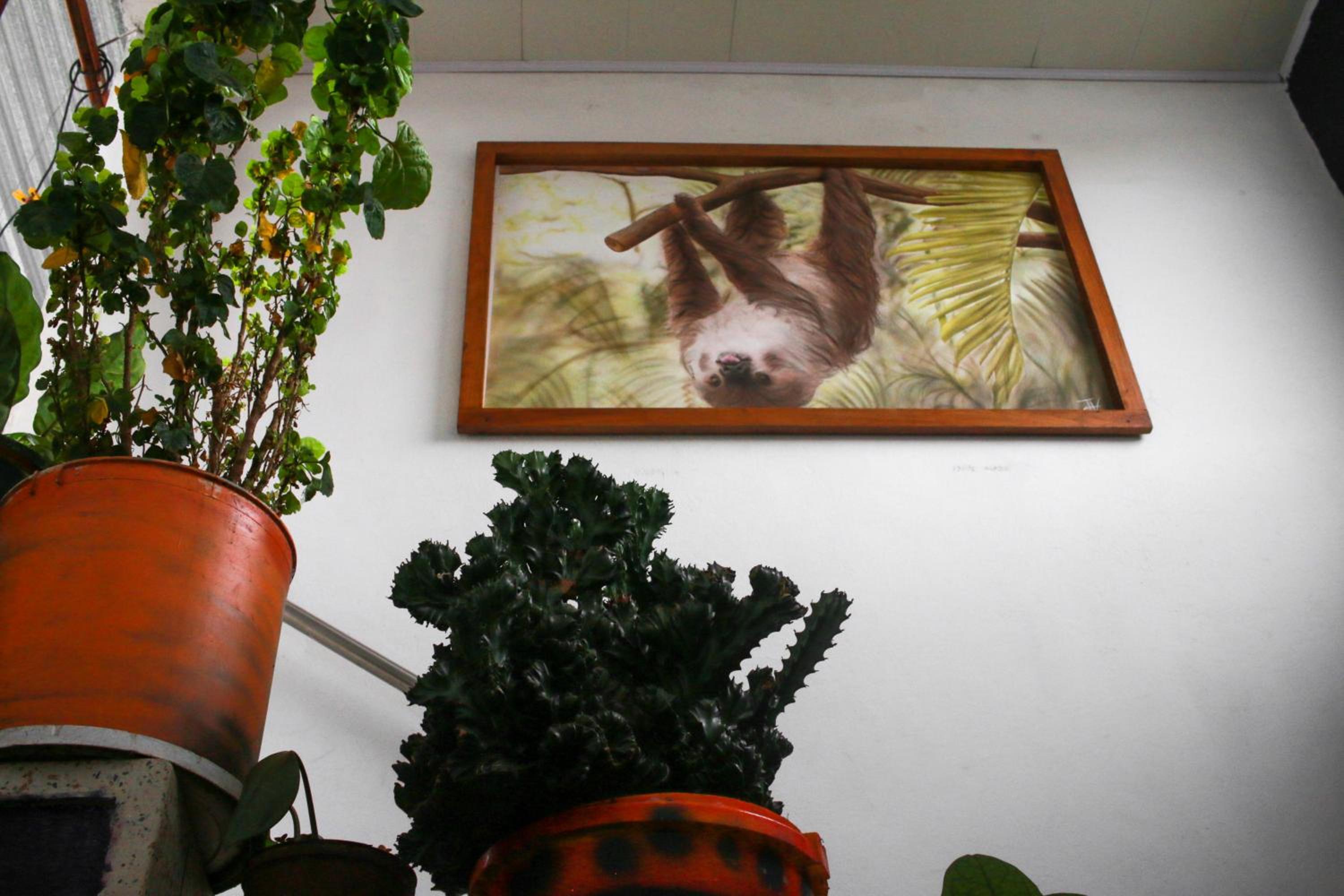 Casa Pacha
