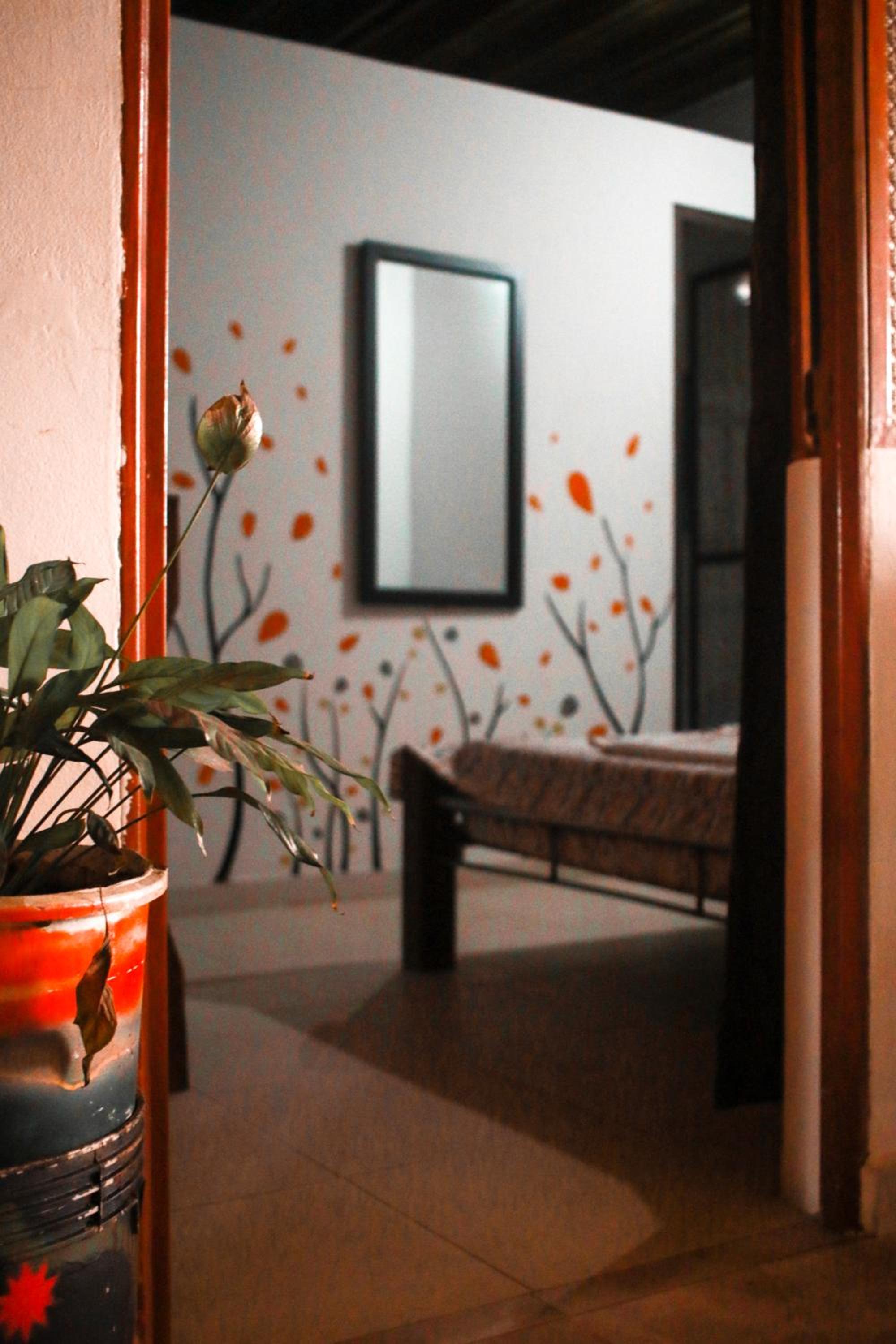 Casa Pacha