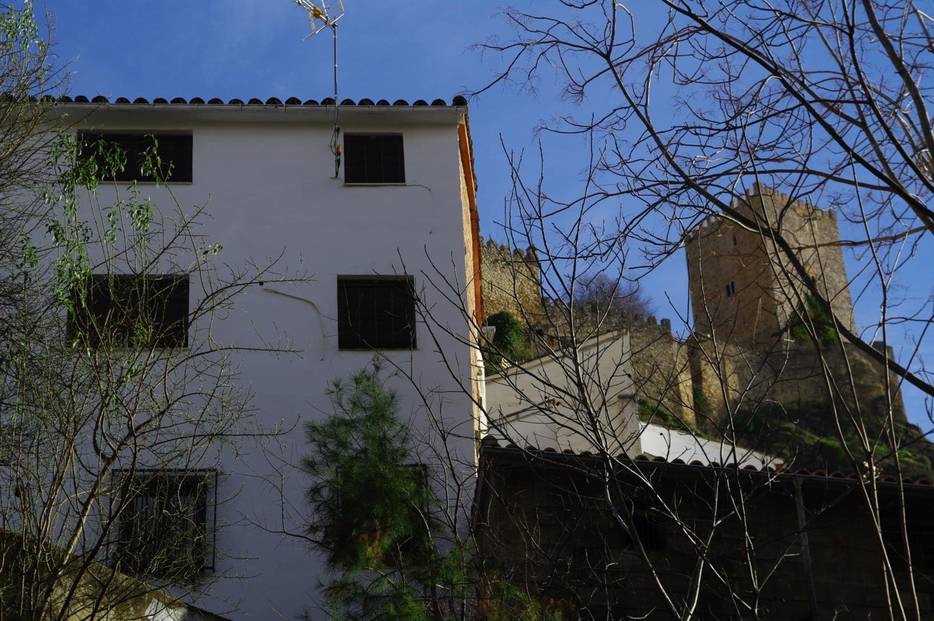 Photo 21
