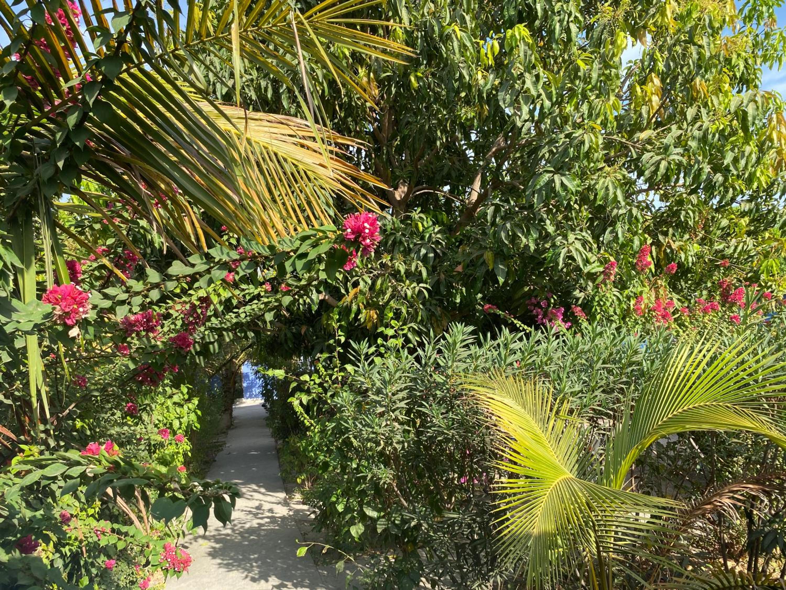 Photo 46