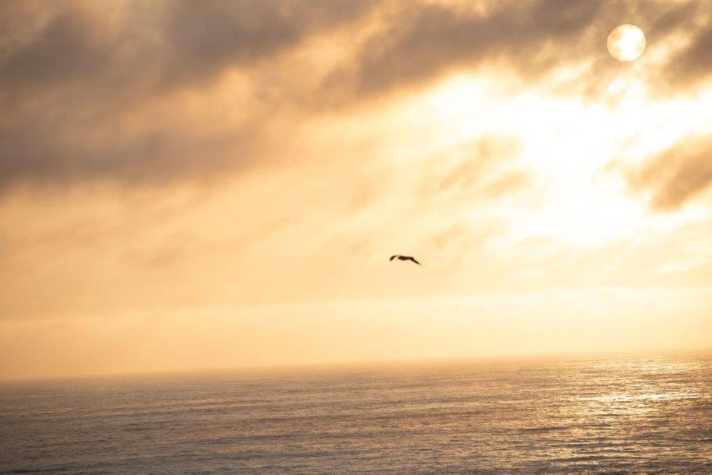 Horizonte Infinito