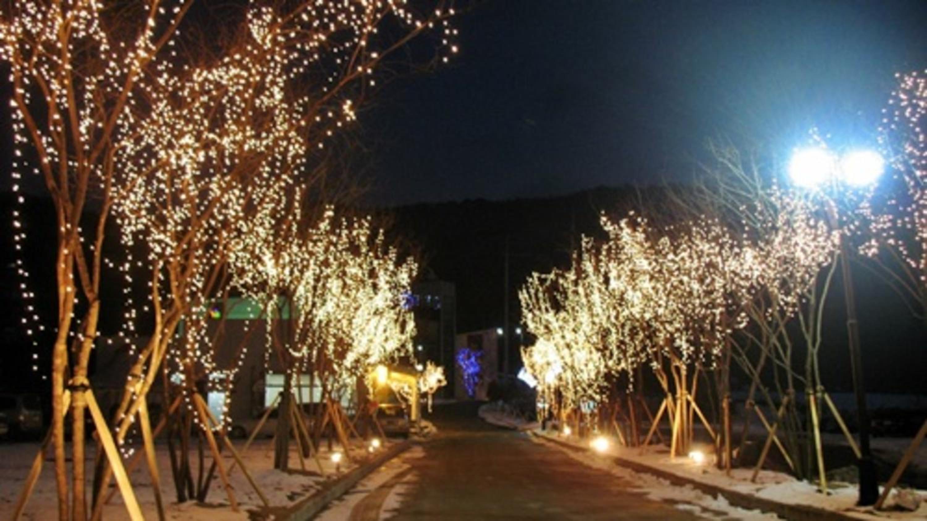 Hyundai Soo Resort Hoengseong, Morag - 21