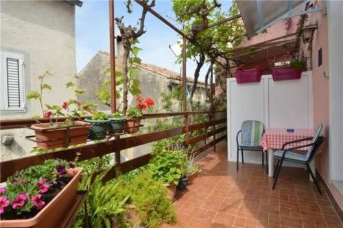 Apartments Vodaric
