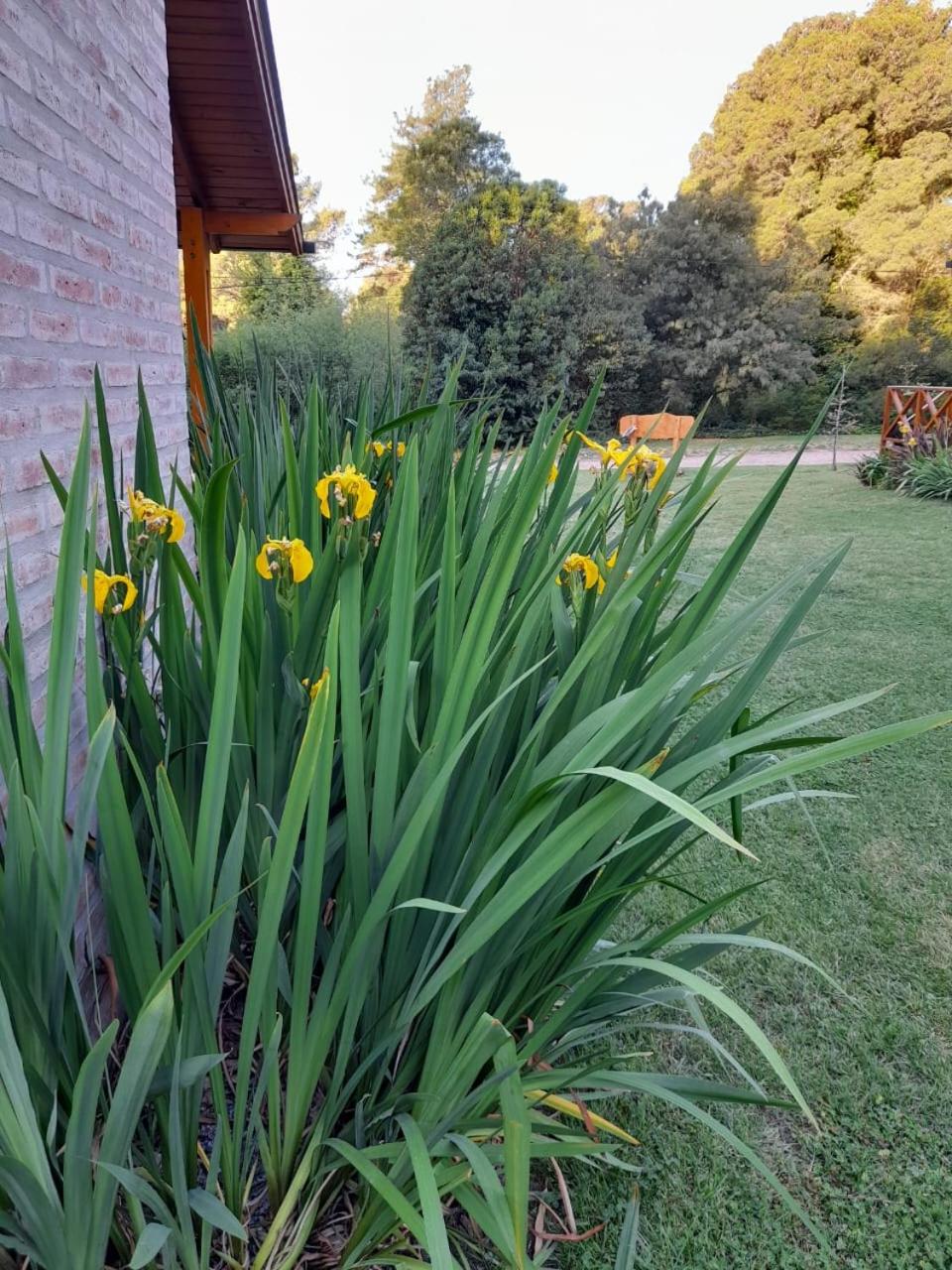 Cabañas La Lucía
