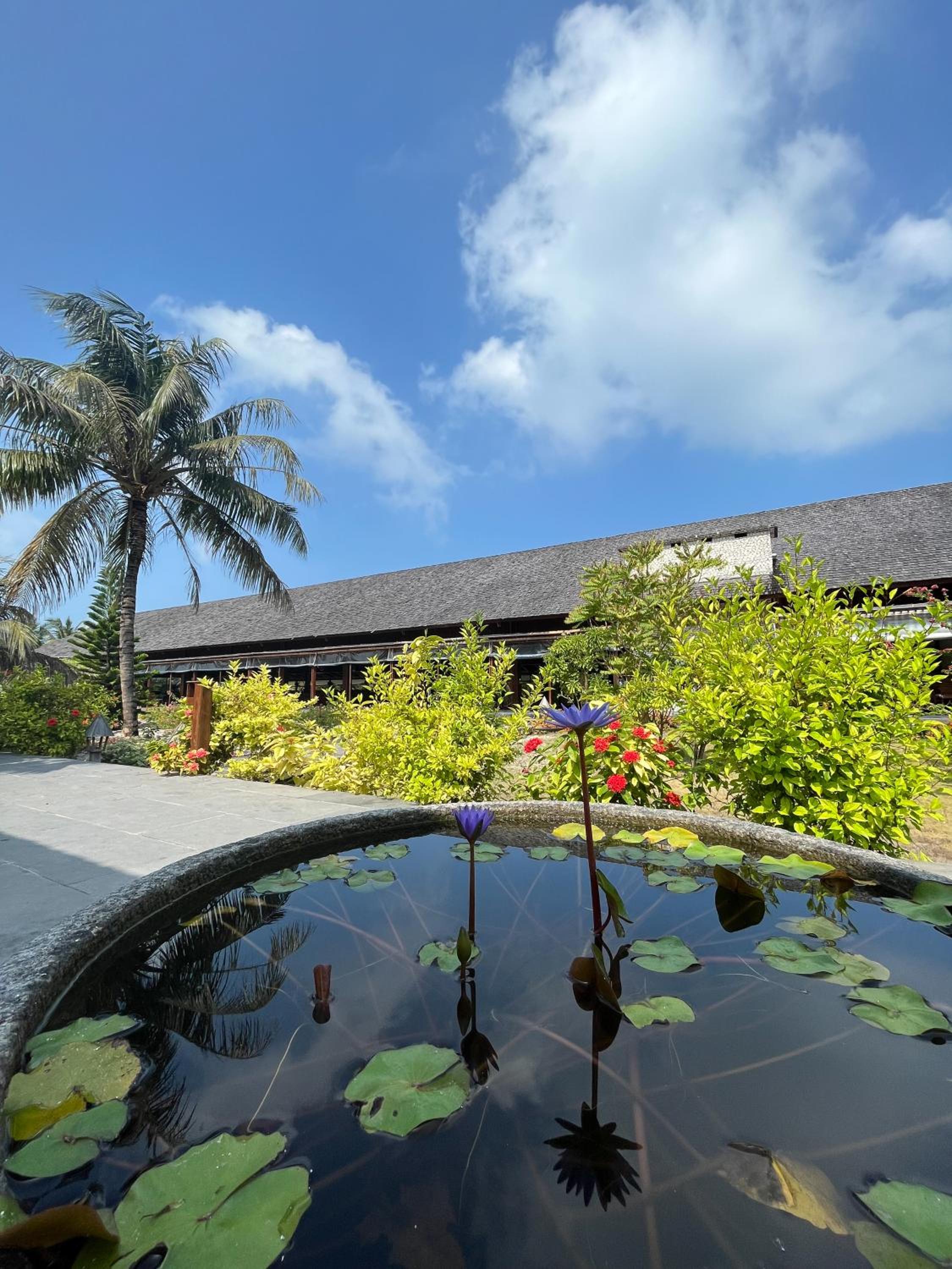 The Barefoot Eco Hotel