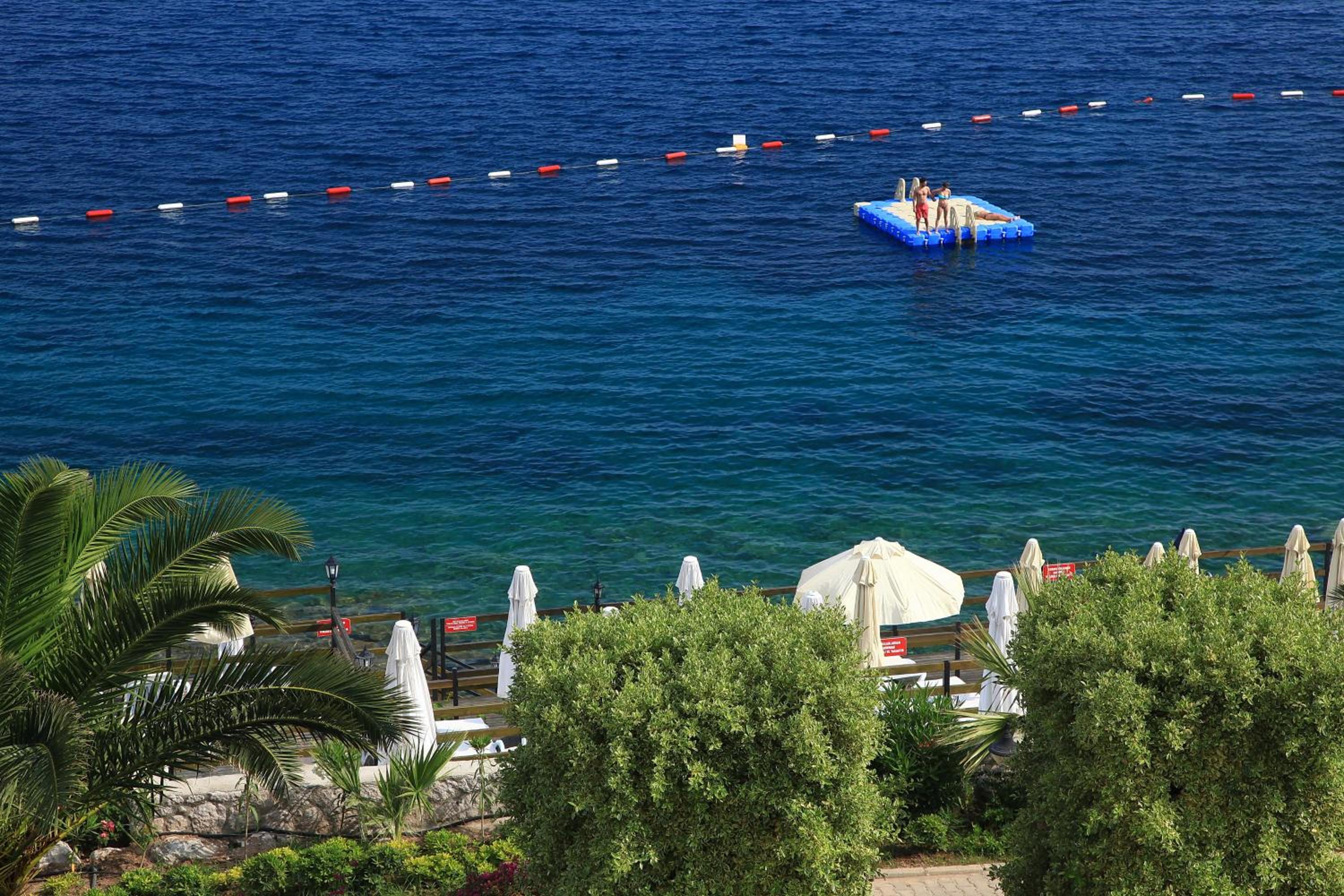 children's play area