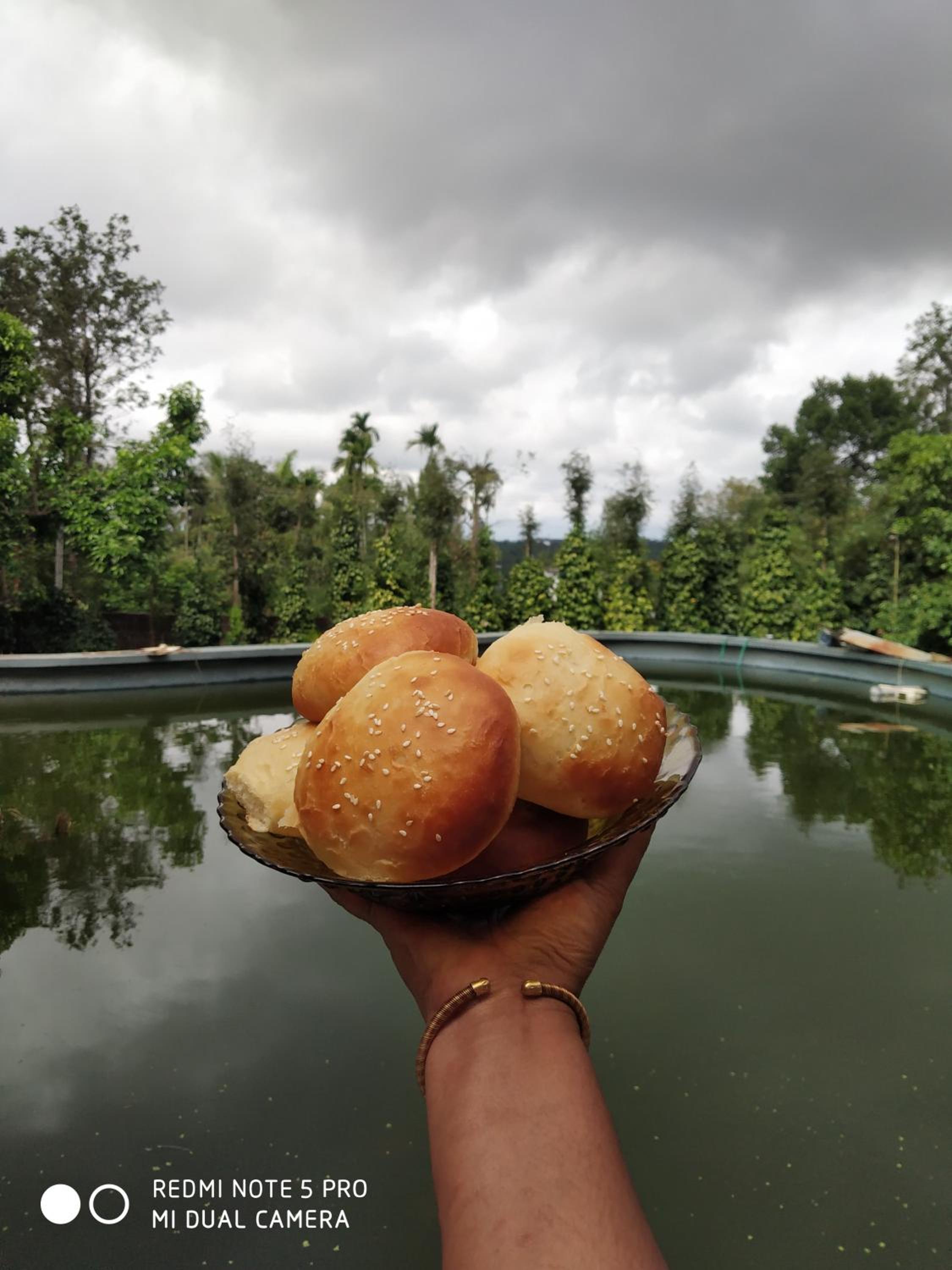 Torch Ginger Homestay