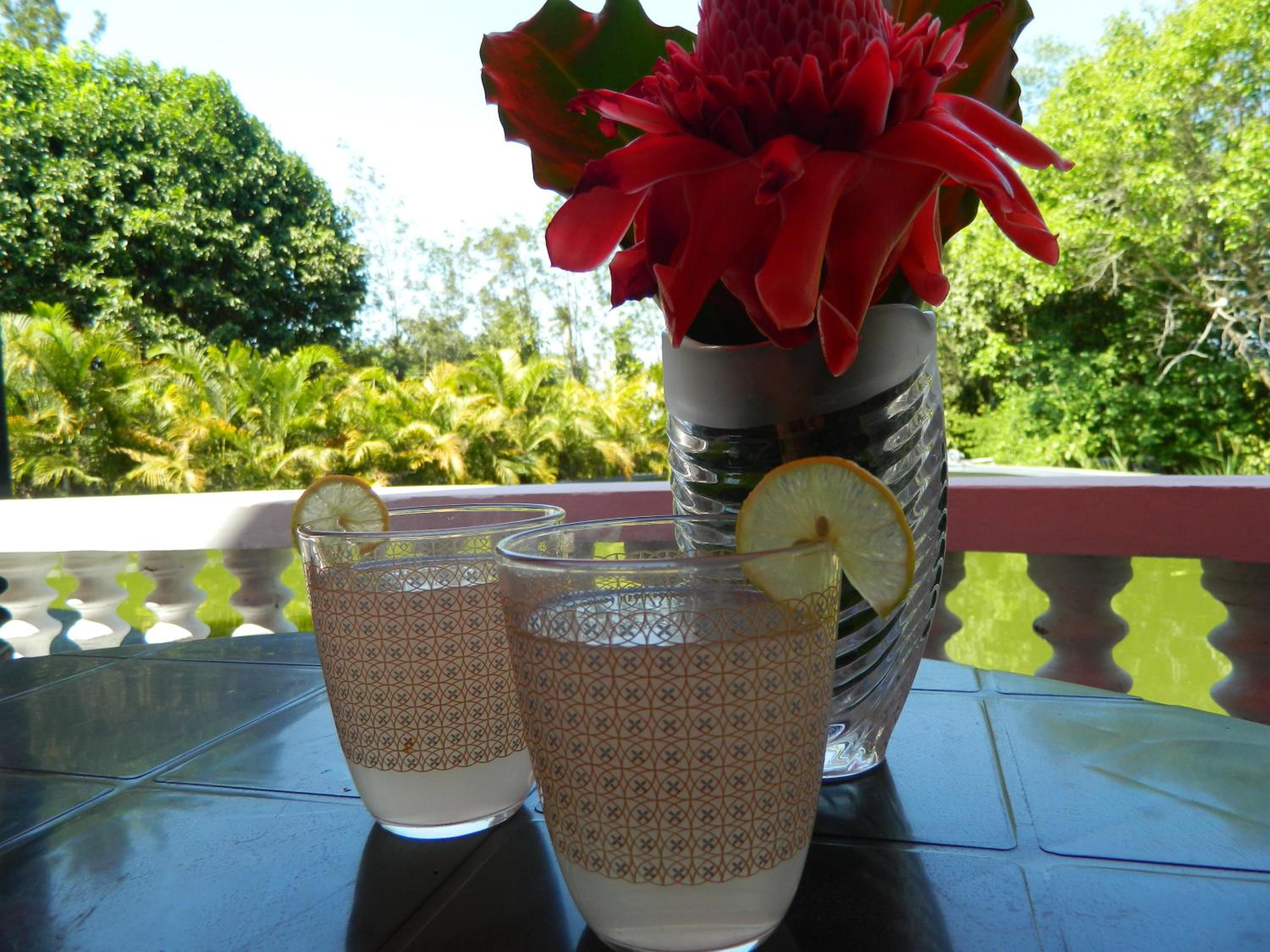 Torch Ginger Homestay