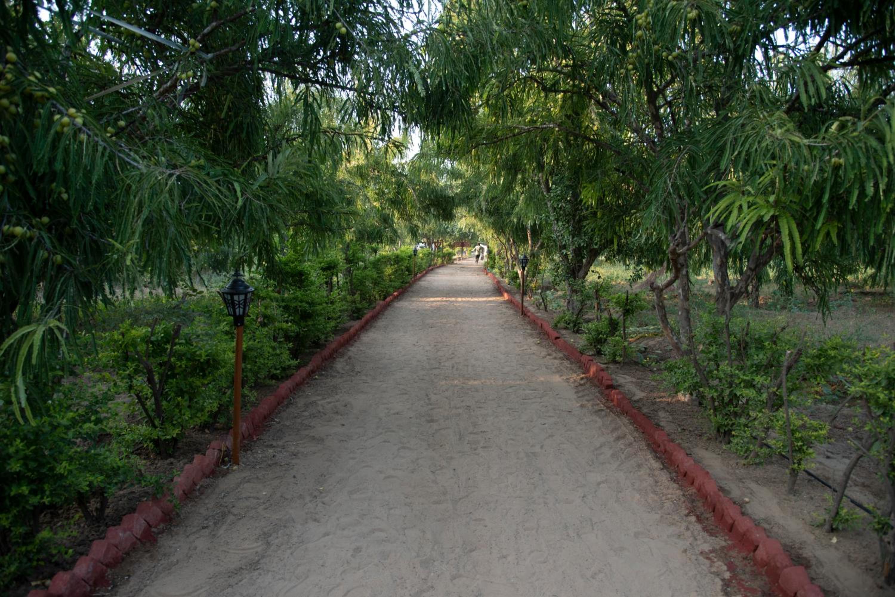 Photo 14
