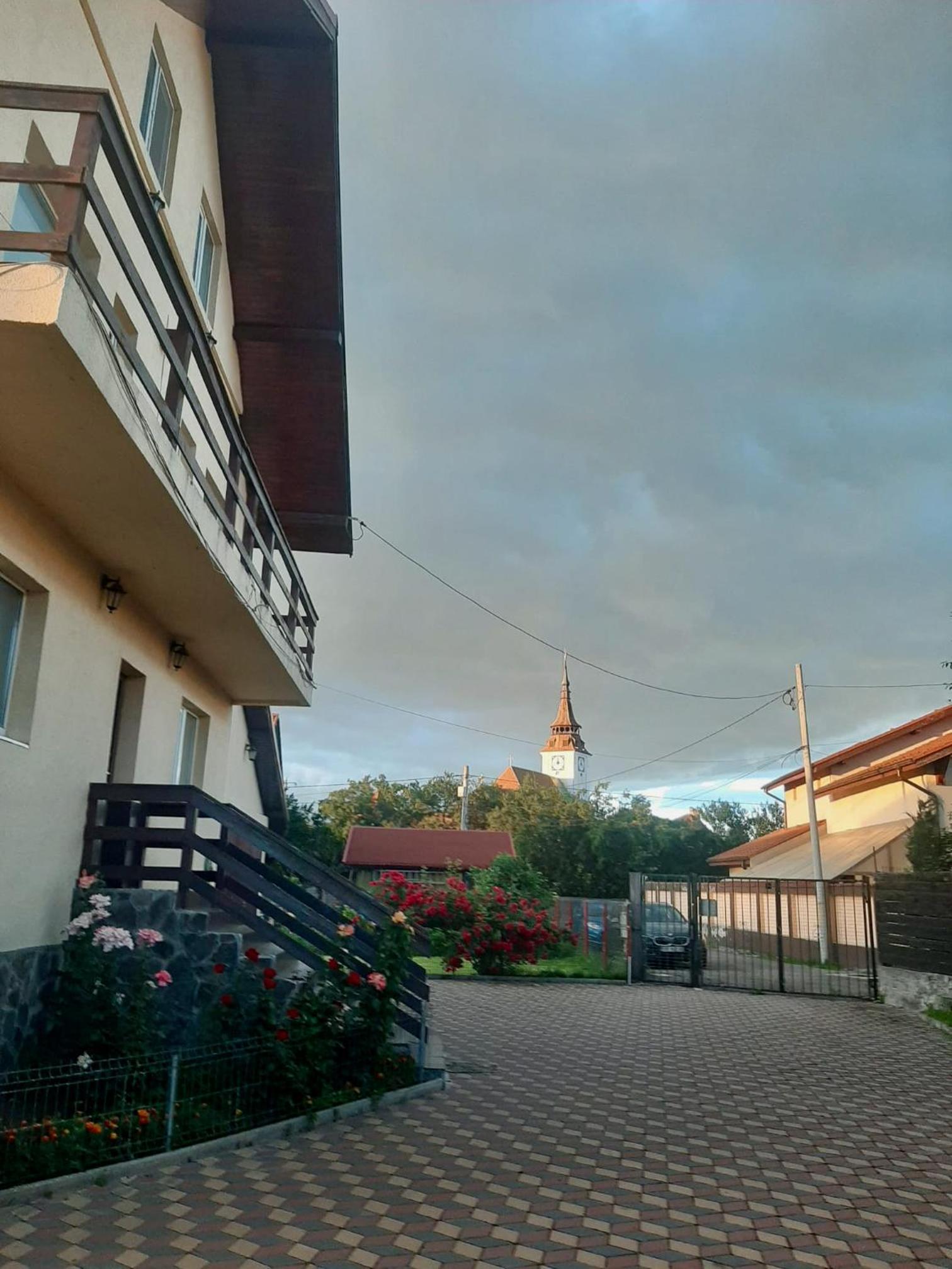 Photo 38