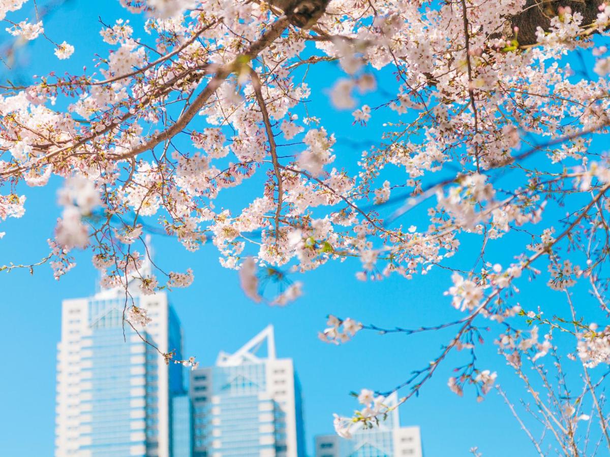 Park Hyatt Tokyo 86