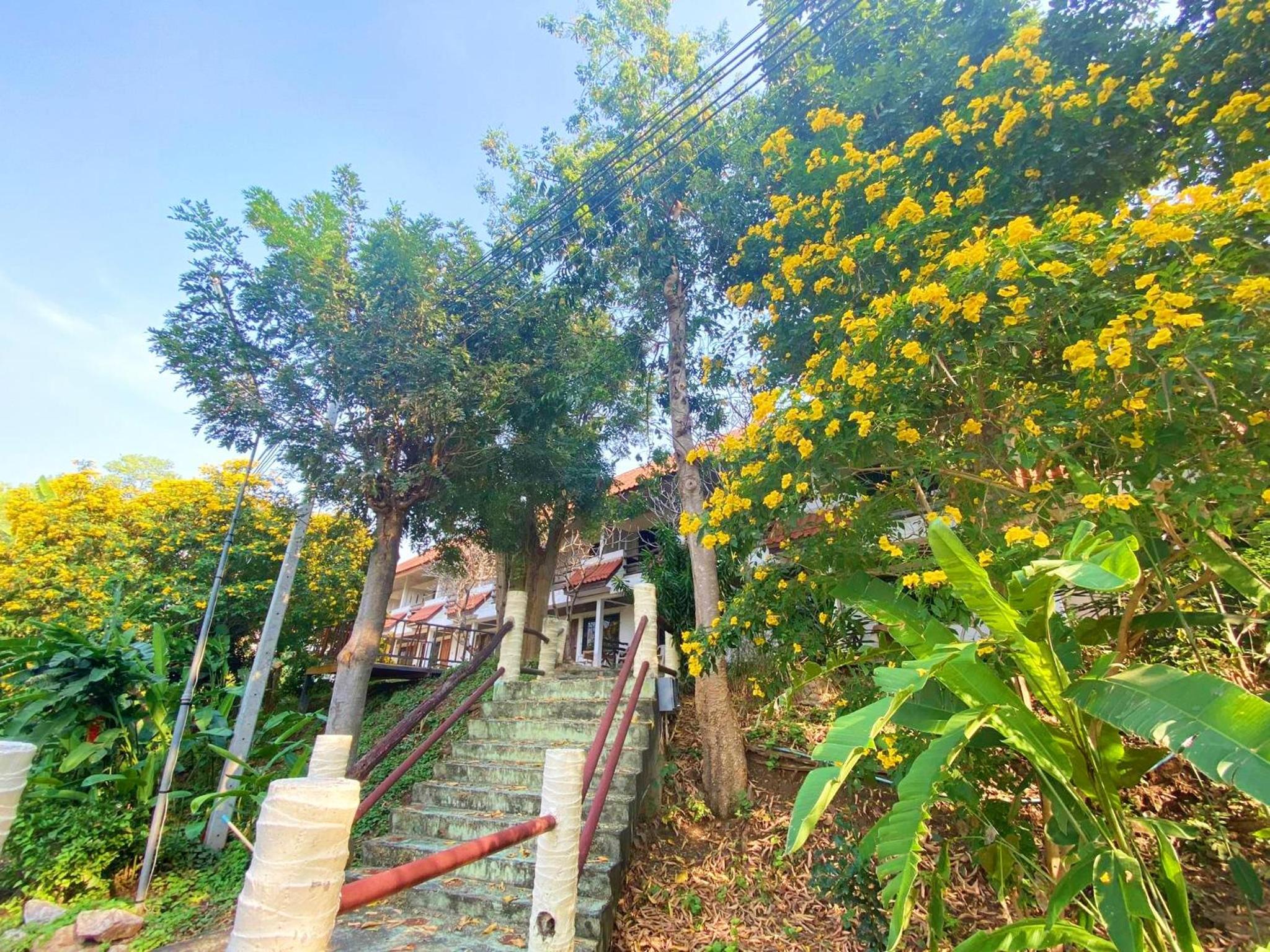 Duenshine Resort