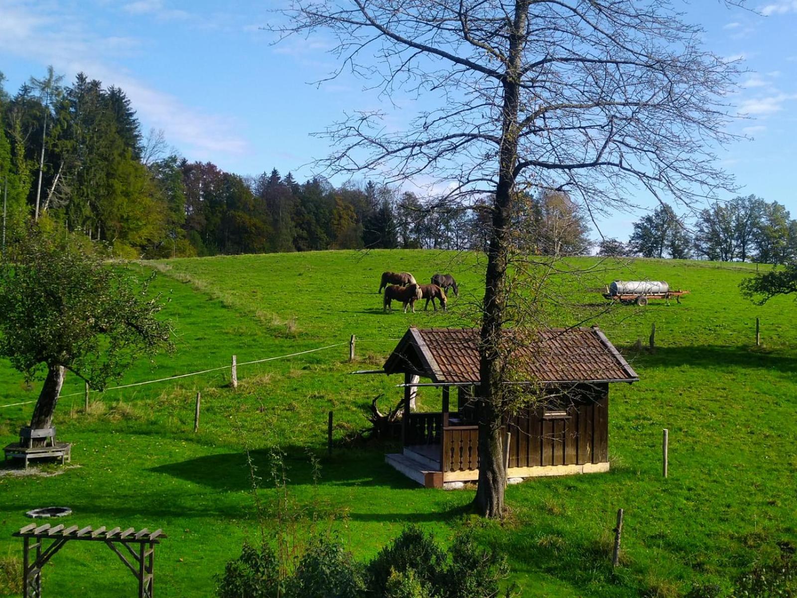 Holzer-Hof
