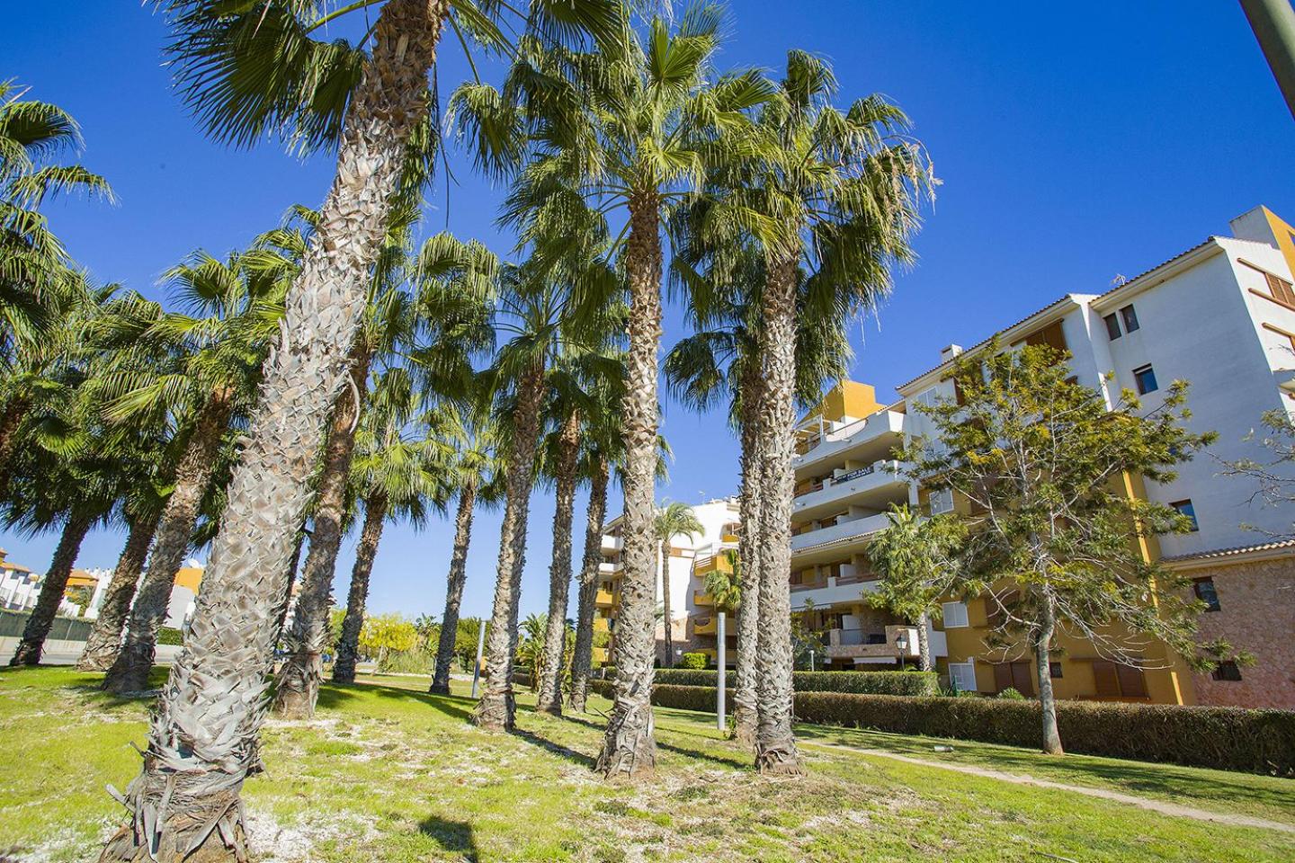 231 Recoleta Style Relax - Alicante Holiday view 5