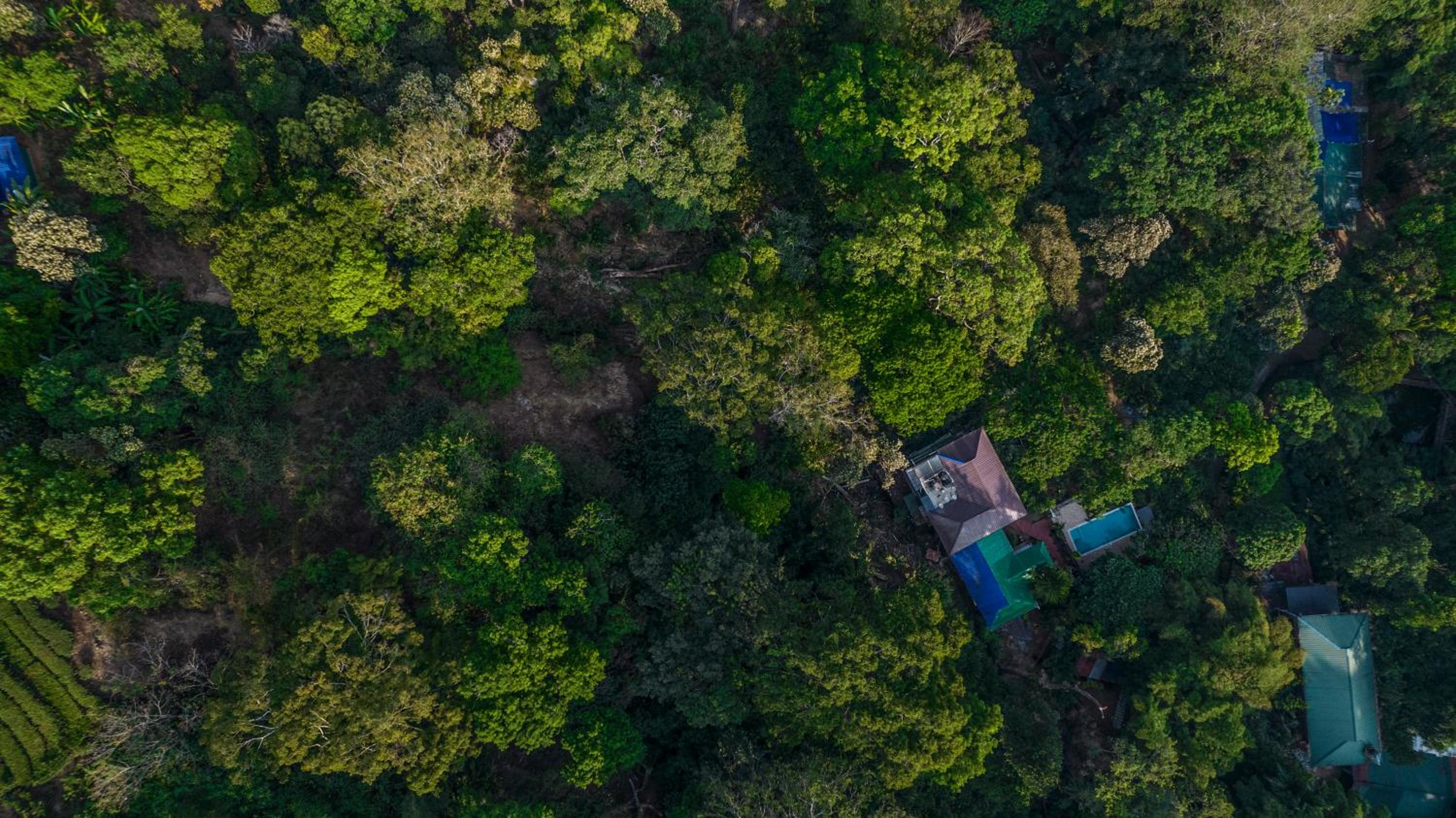 Spice Jungle Resort