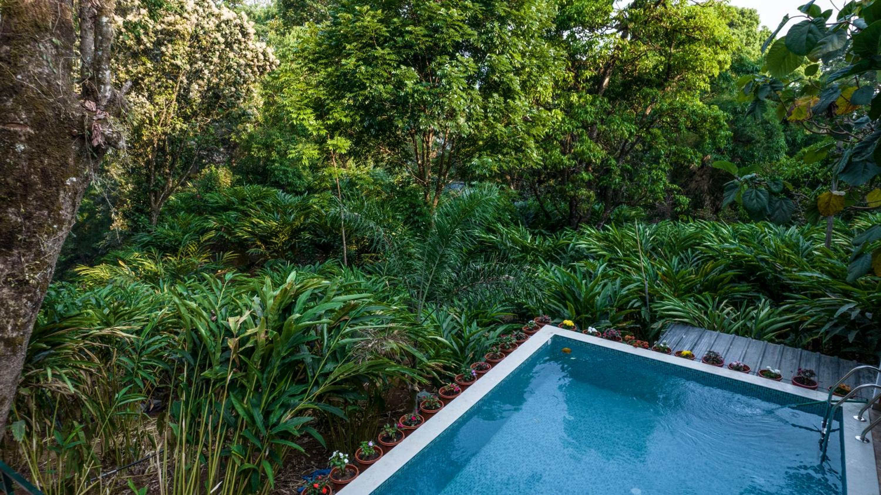 Spice Jungle Resort