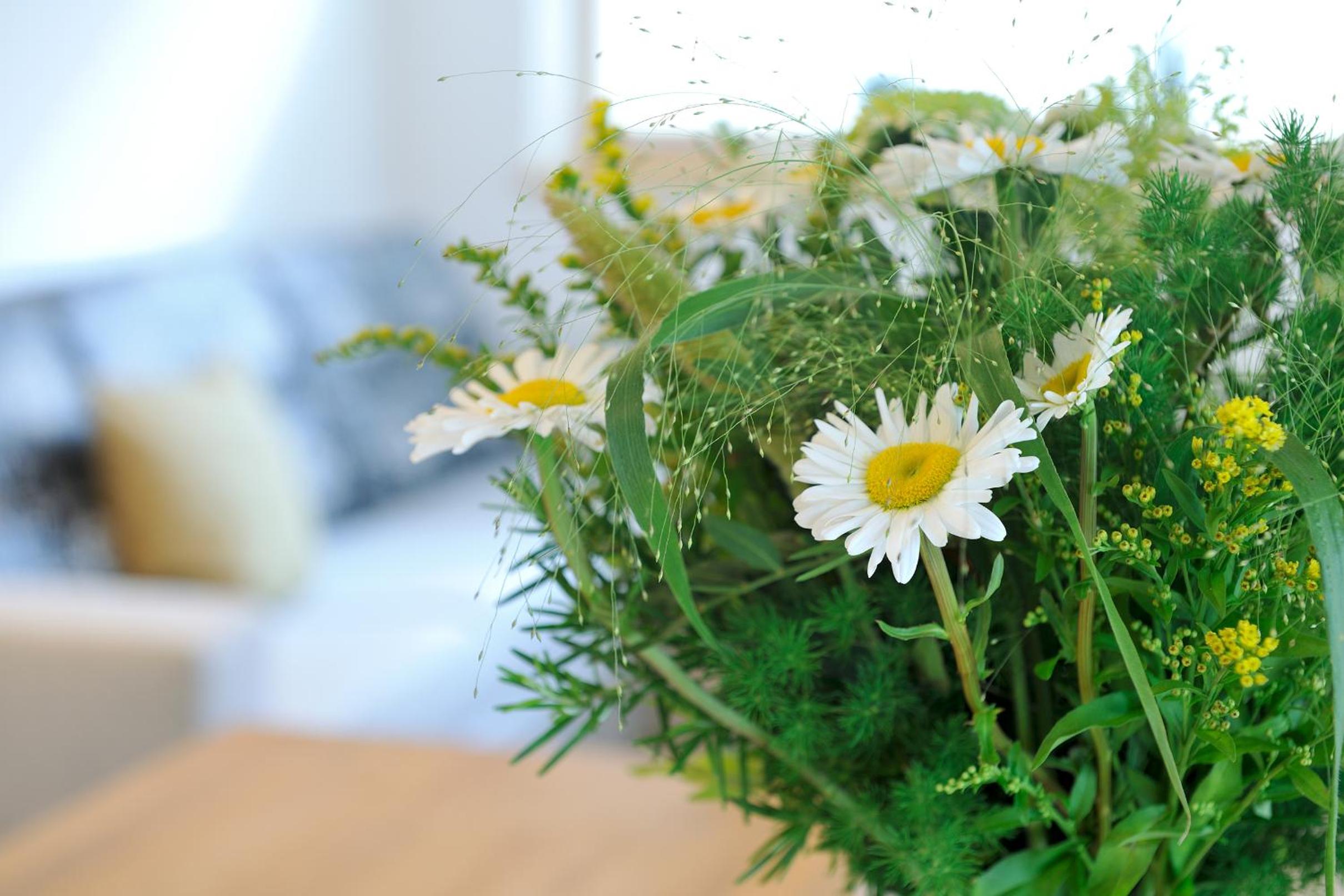 UR-NATUR Appartements