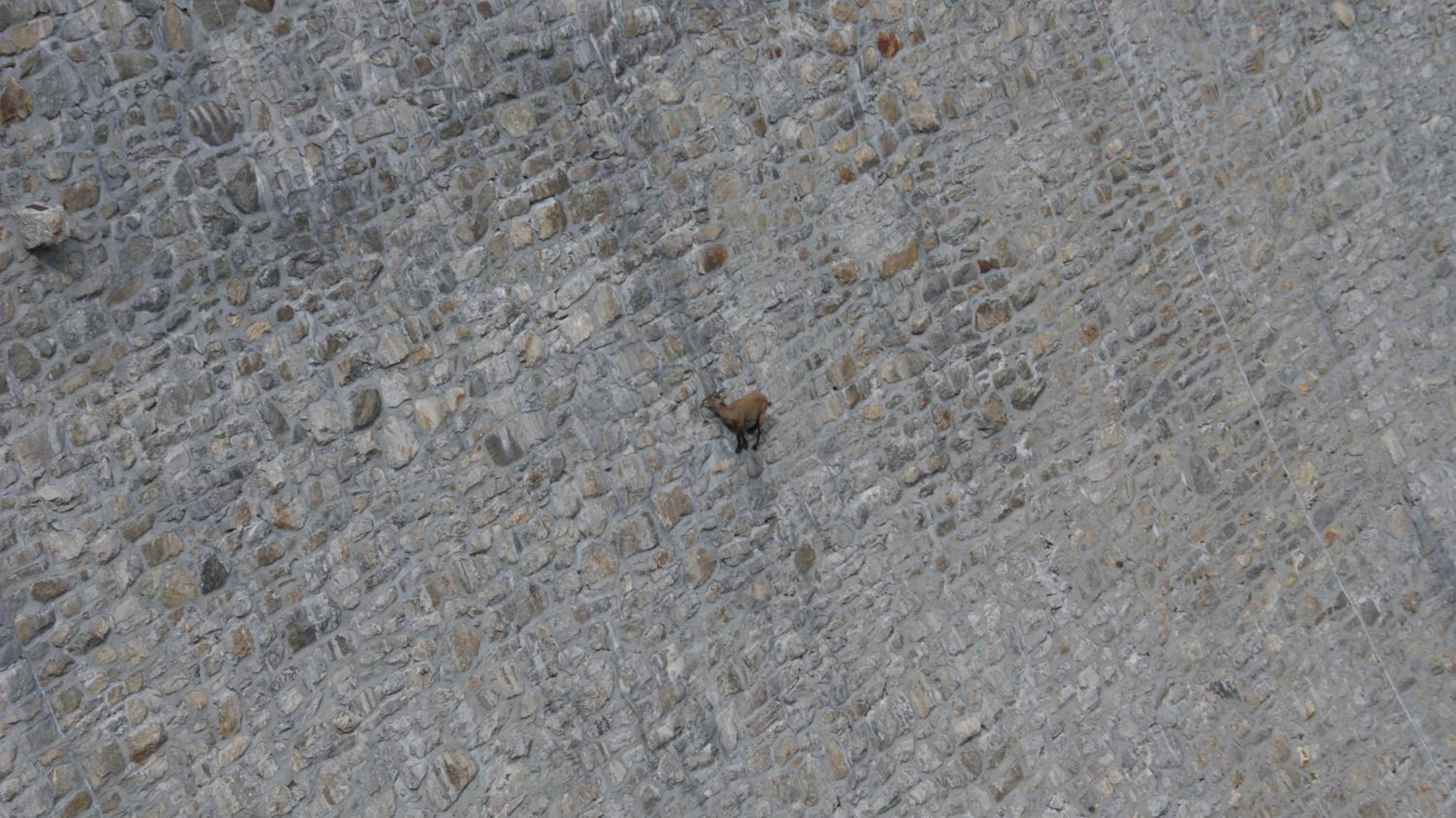 Photo 36