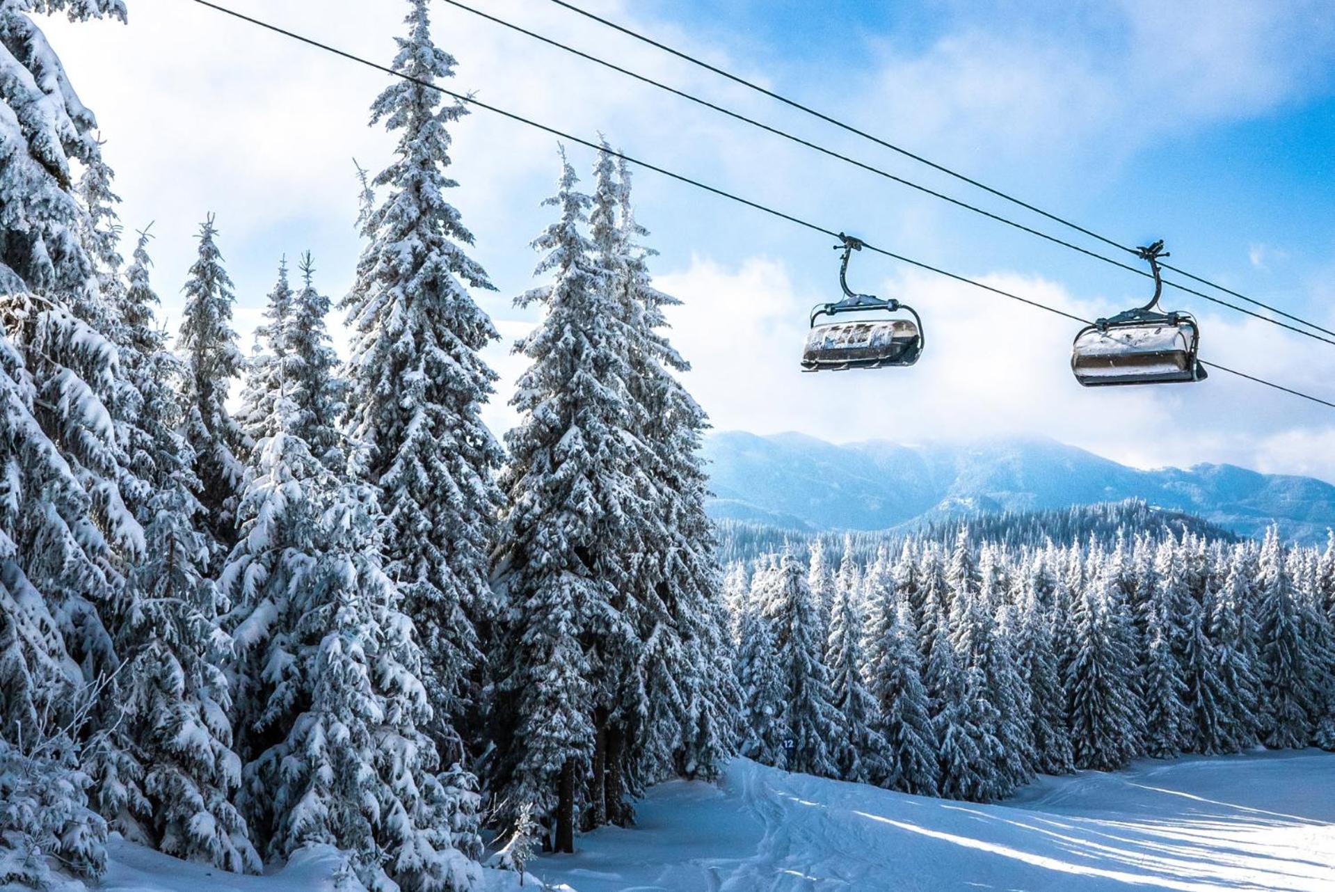 Forest Dream Apartment - Elit Pamporovo