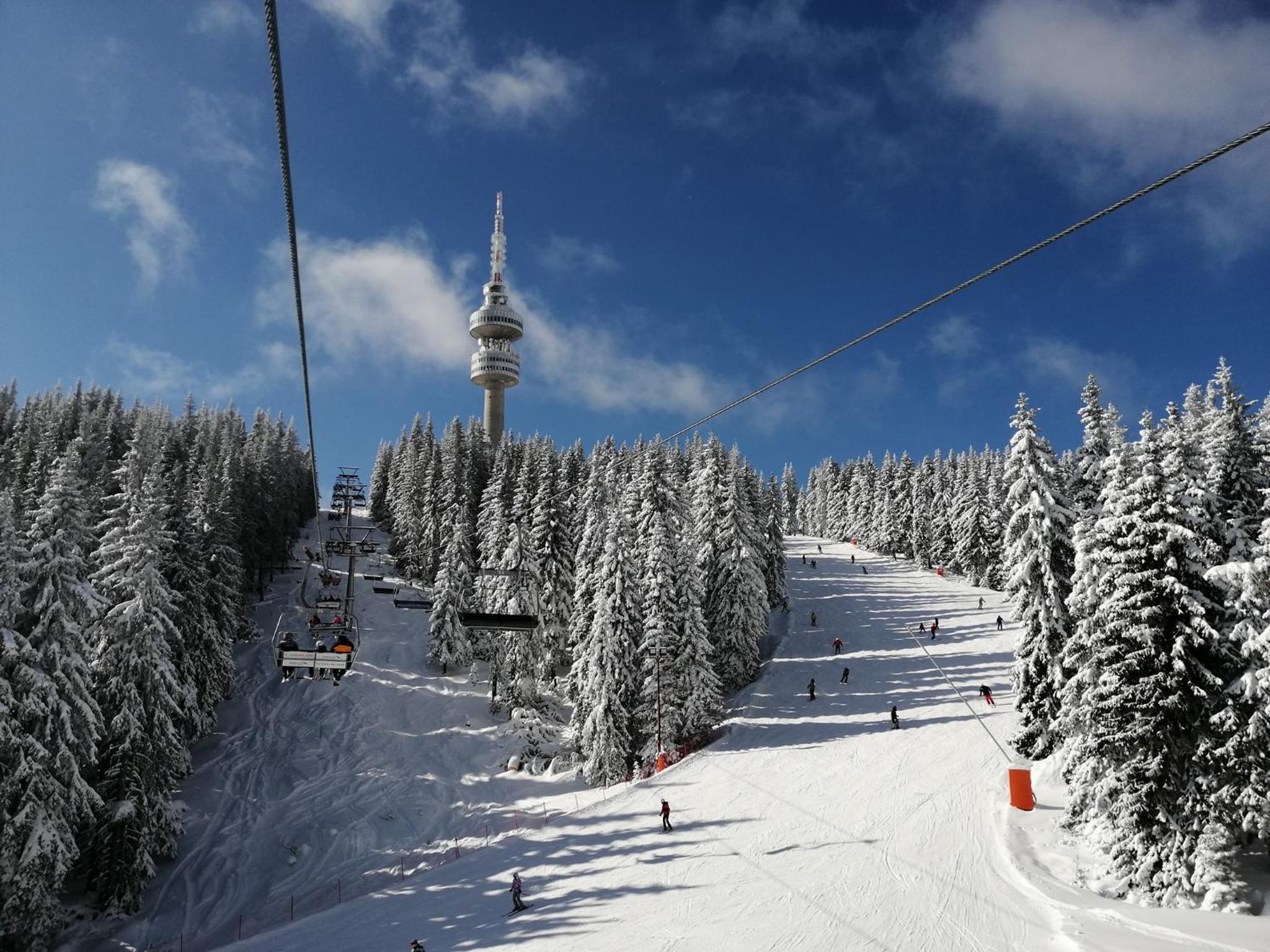 Forest Dream Apartment - Elit Pamporovo